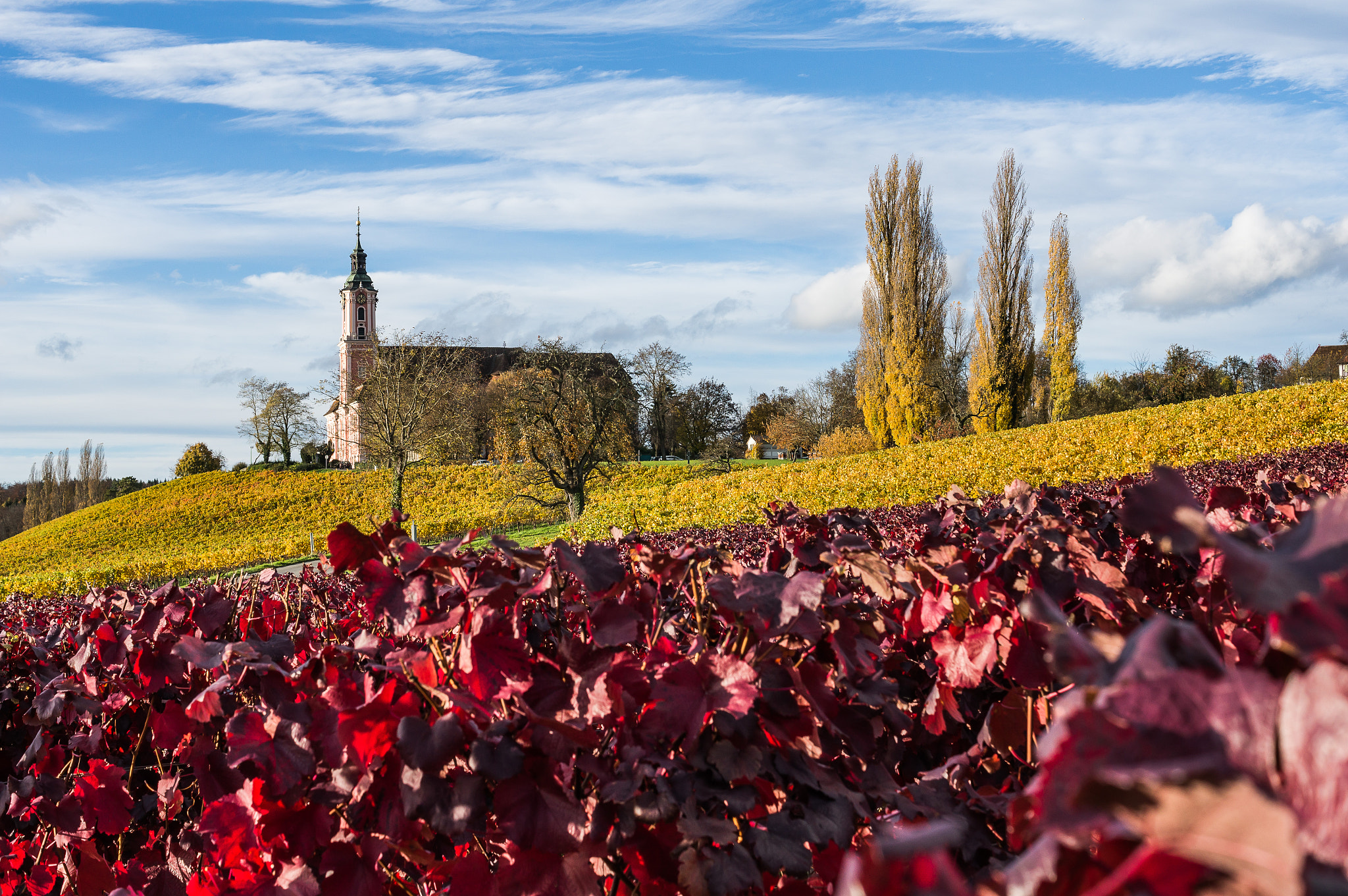 Sony Alpha NEX-6 + Sony DT 35mm F1.8 SAM sample photo. Bel automne iv photography