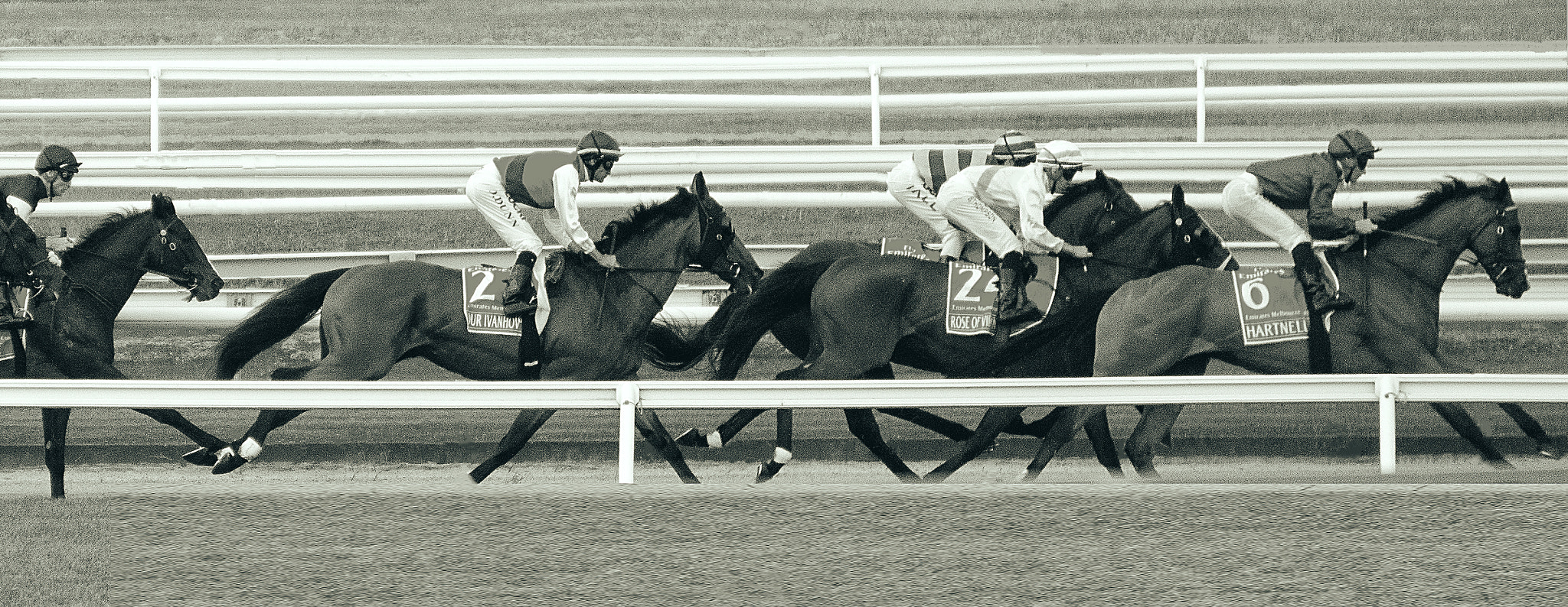 Sony Alpha NEX-7 + Sony E 55-210mm F4.5-6.3 OSS sample photo. Melbourne cup 2016 photography