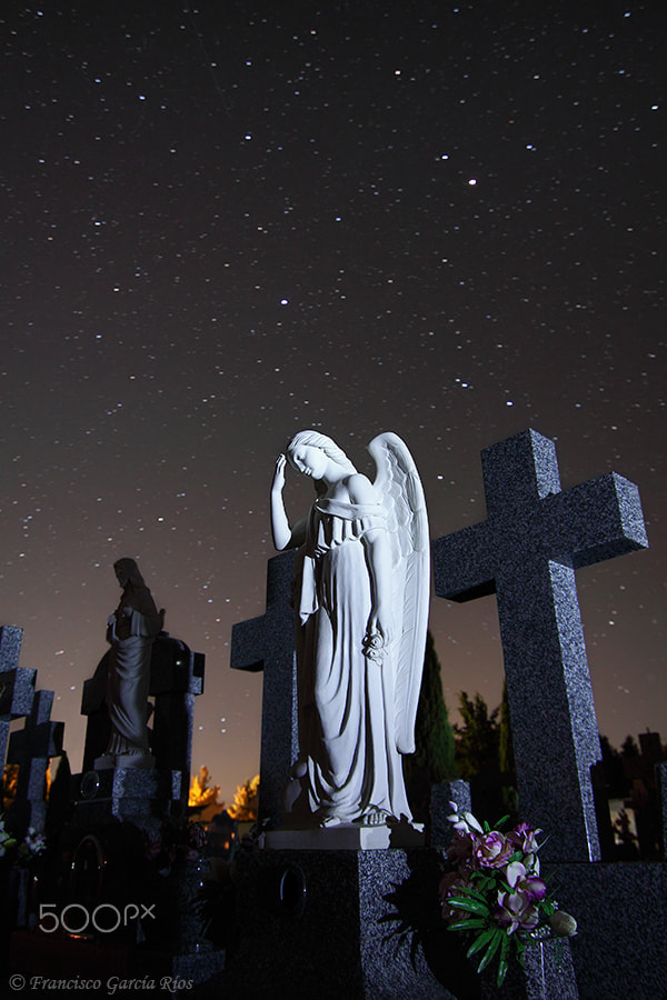 Canon EOS 50D + Tokina AT-X Pro 11-16mm F2.8 DX sample photo. Weeping angel. photography