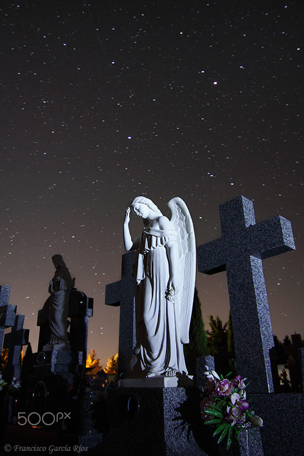 Canon EOS 50D sample photo. Weeping angel. photography