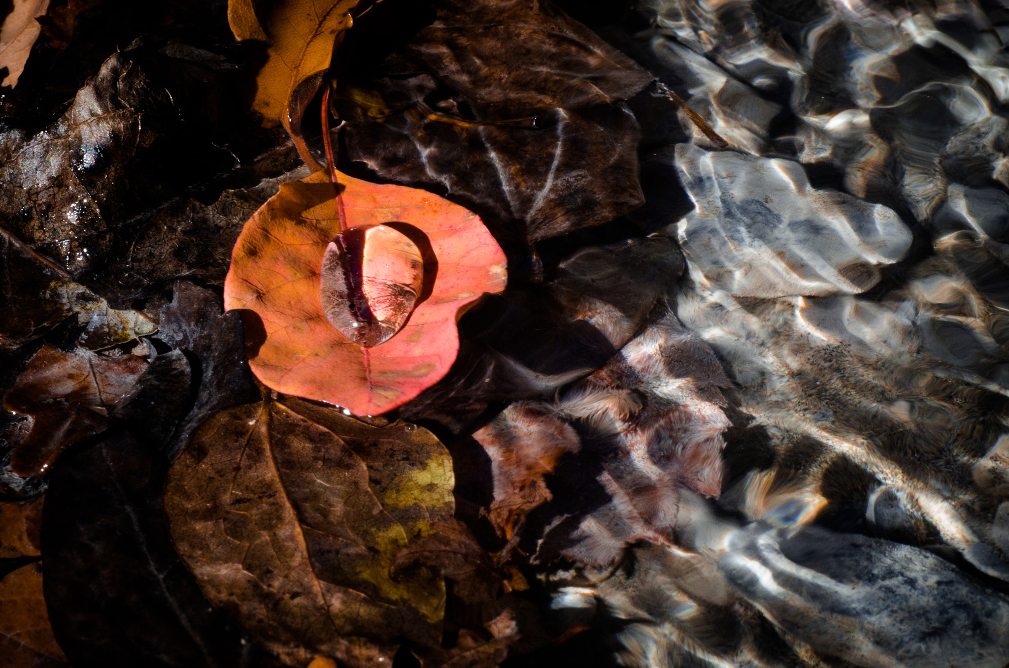 Pentax K-5 + Tamron SP AF 90mm F2.8 Di Macro sample photo. Down the river photography