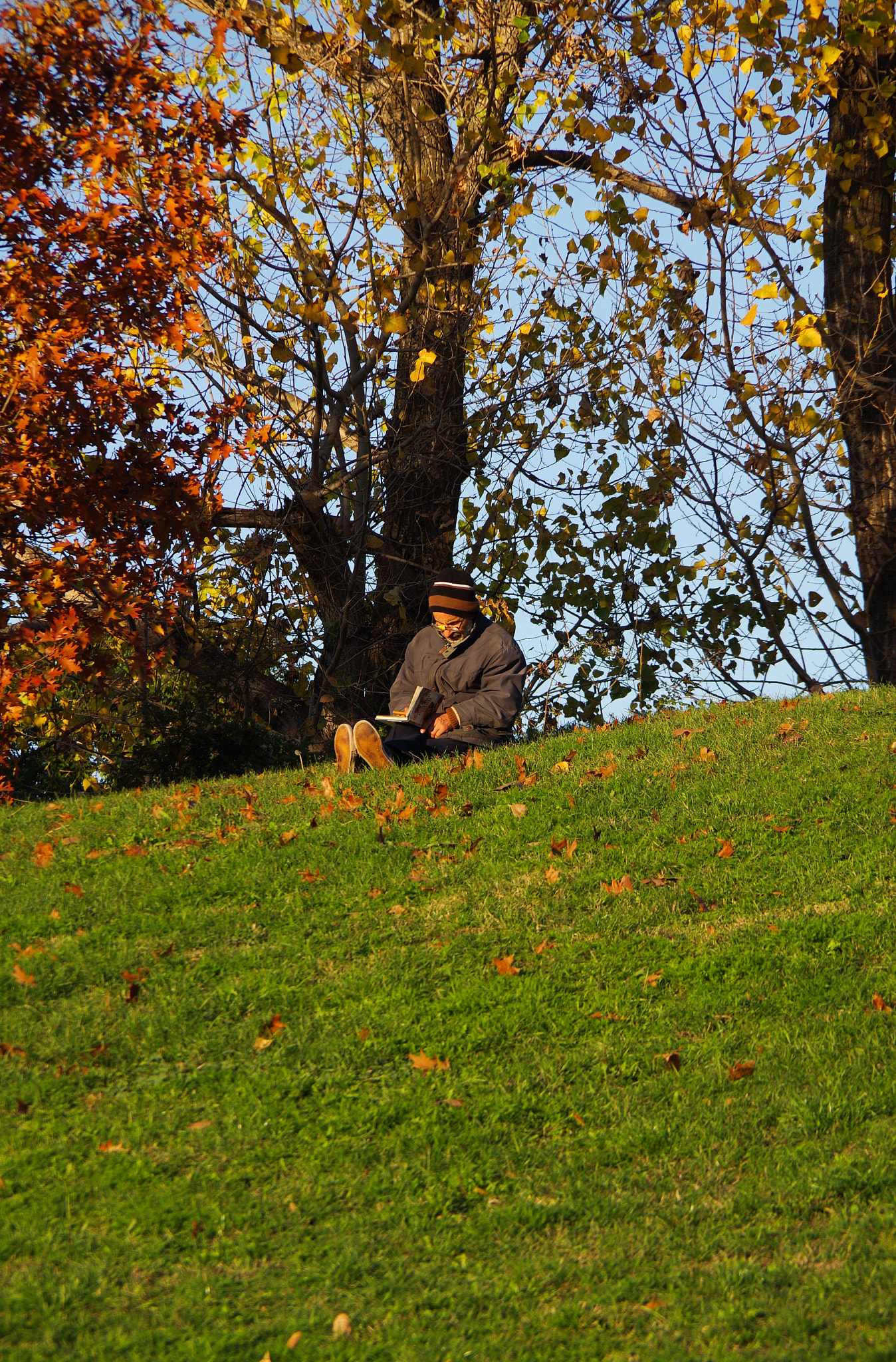 Pentax K-S1 sample photo. The reader. photography