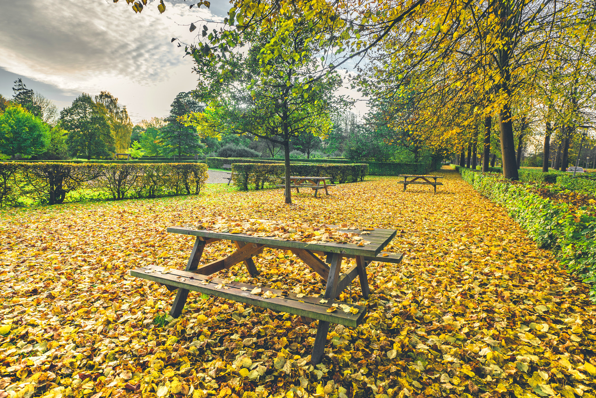 Sony a7R + Sony Vario-Sonnar T* 16-35mm F2.8 ZA SSM sample photo. Autumn leaves on a bench in a park photography