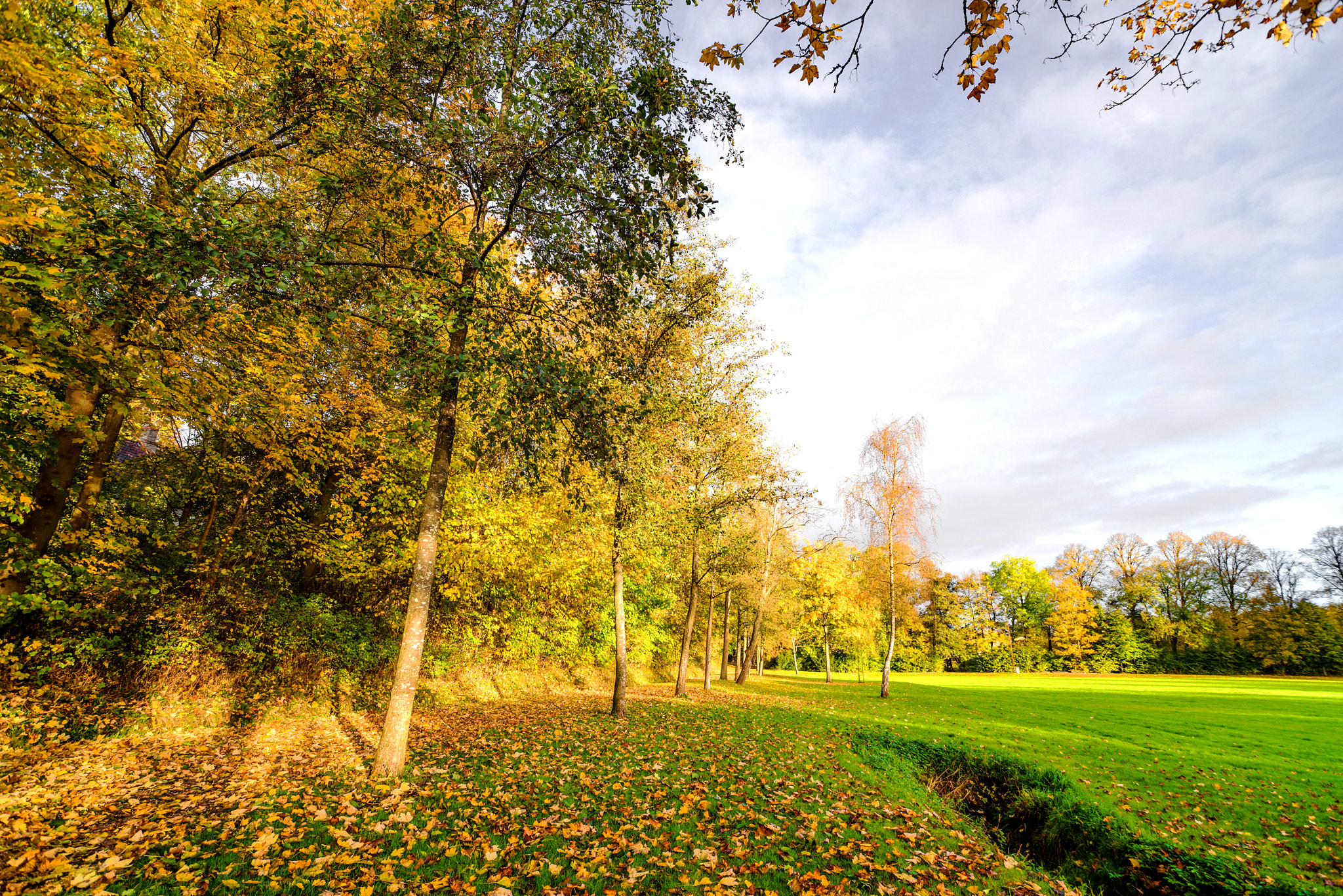 Sony a7R + Sony Vario-Sonnar T* 16-35mm F2.8 ZA SSM sample photo. Autumn in the park with colorful trees photography