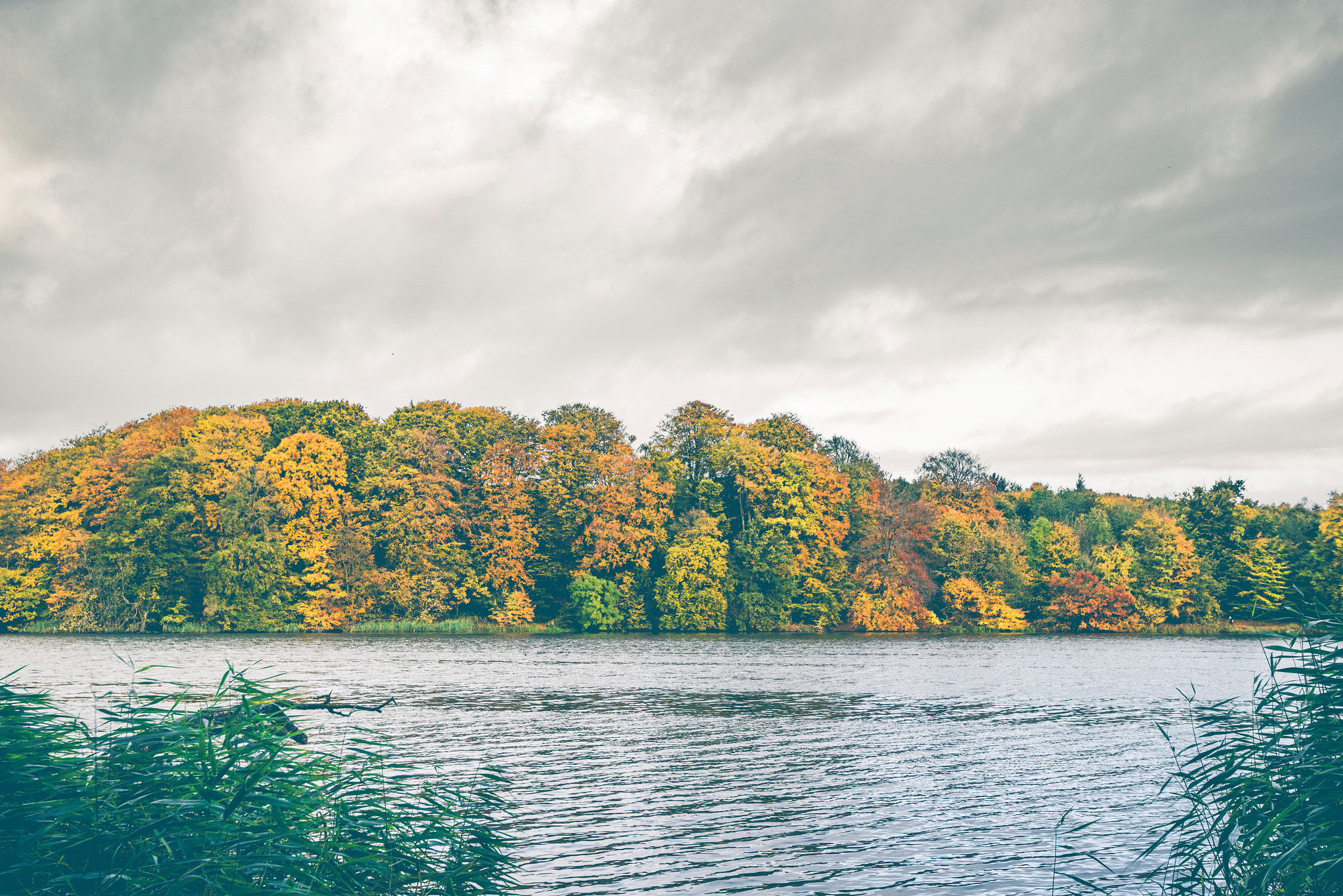 Sony a7R + Sony Vario-Sonnar T* 16-35mm F2.8 ZA SSM sample photo. Colorful autumn trees by a lake photography