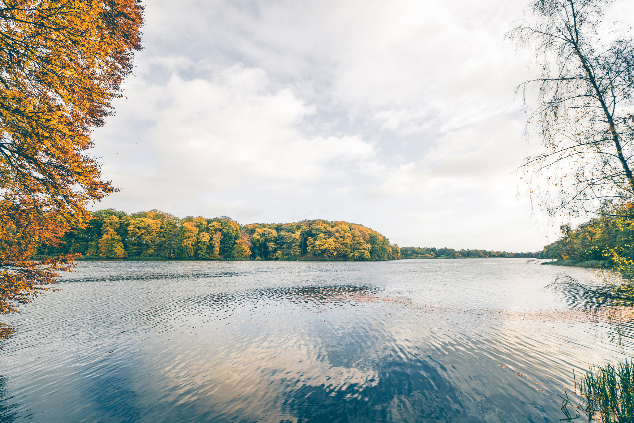 Sony a7R + Sony Vario-Sonnar T* 16-35mm F2.8 ZA SSM sample photo. Lake scenery in the fall with trees photography