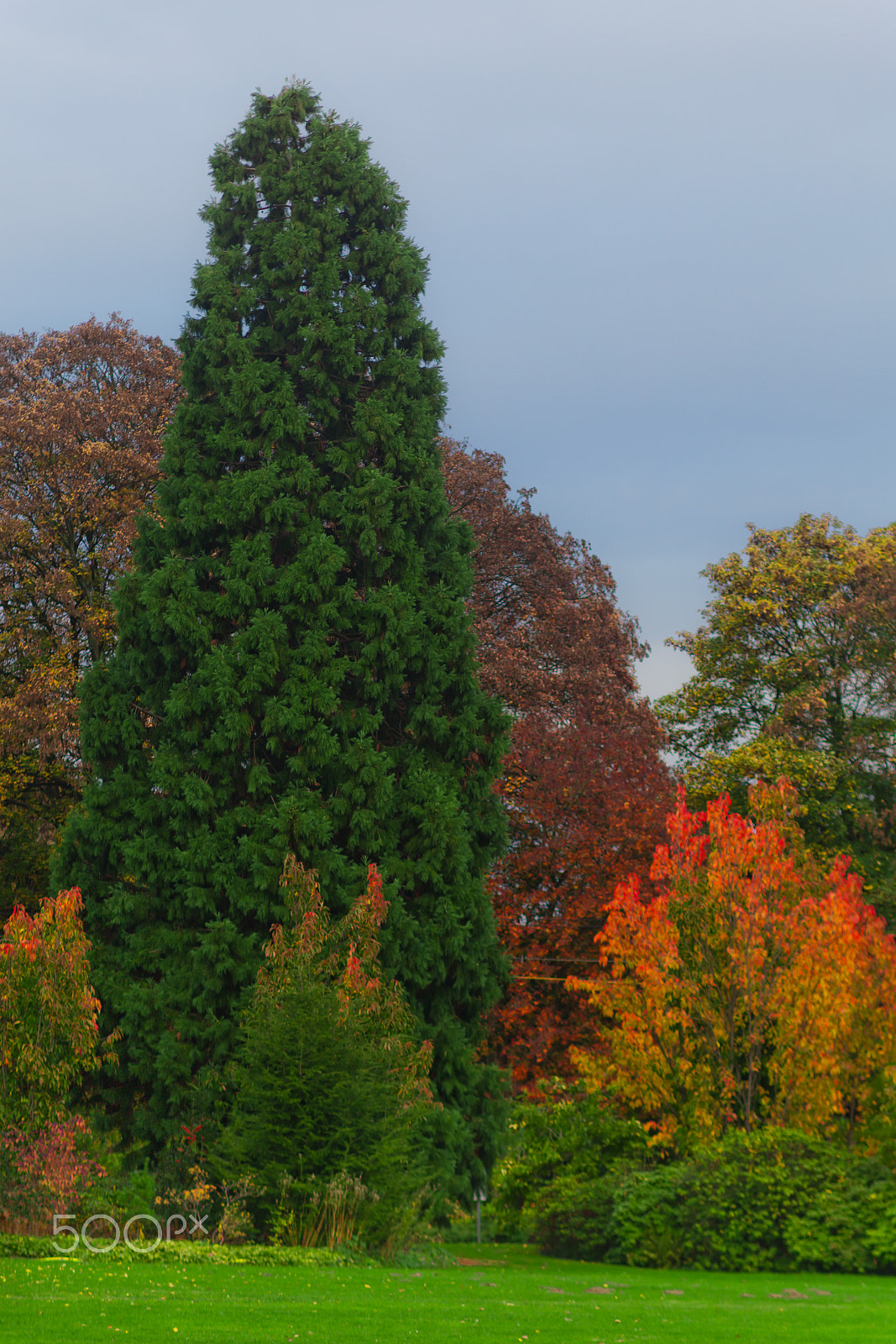 Canon EF 135mm F2.8 SF sample photo. Fall photography