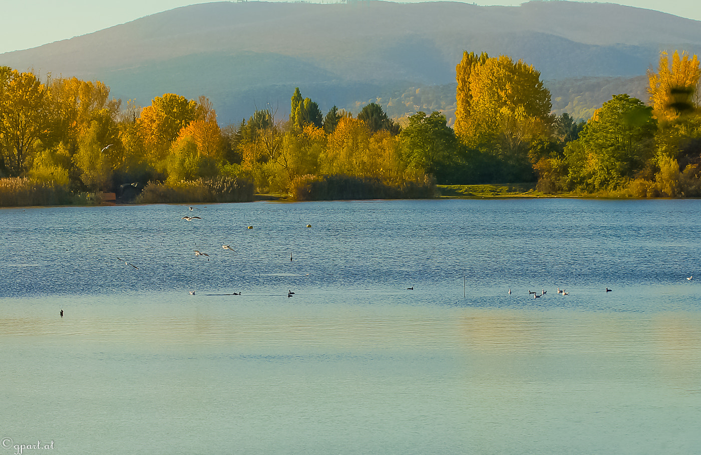 Sony a99 II sample photo. Autumn at the lake photography