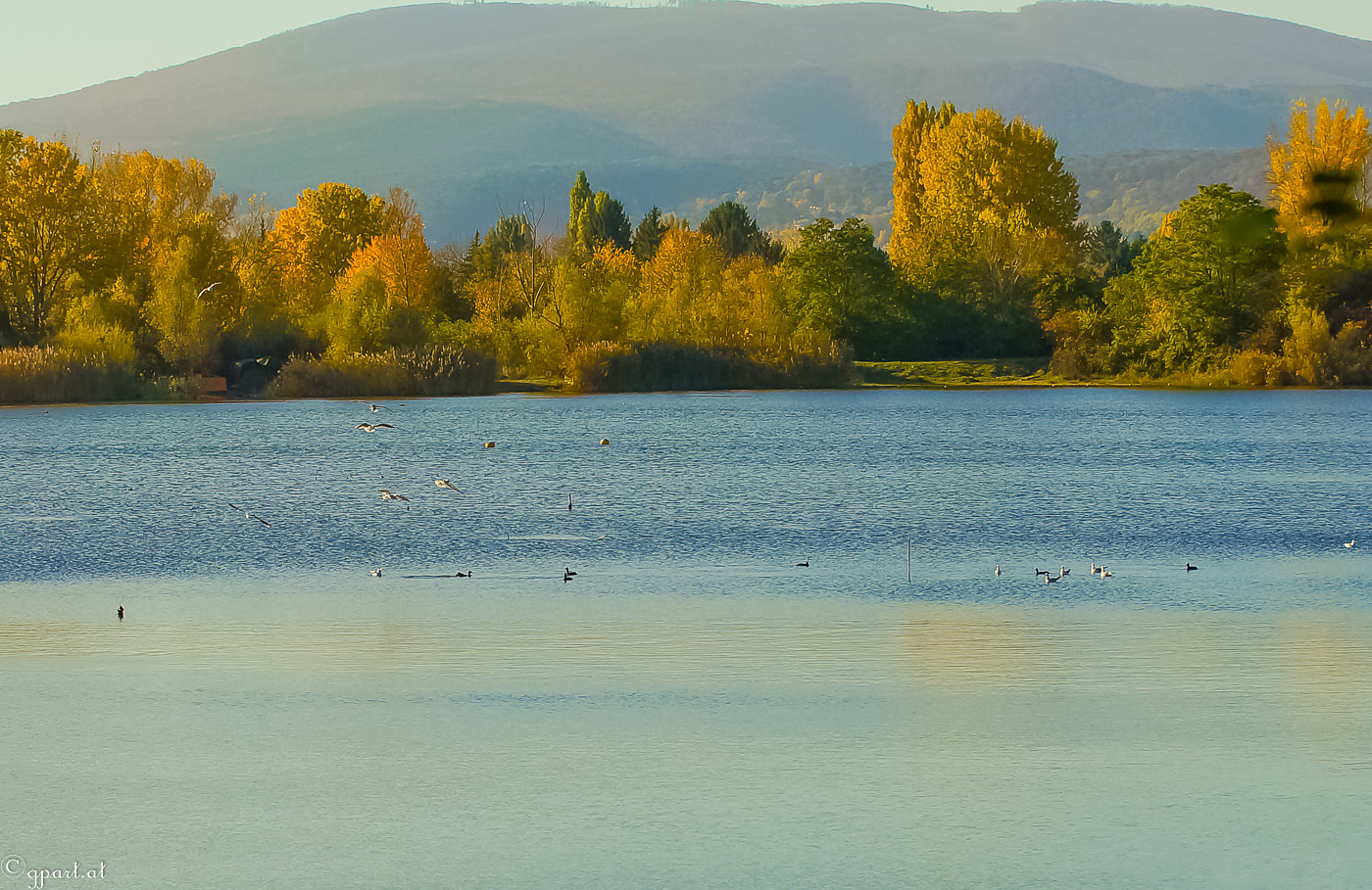 Sony a99 II + Minolta/Sony AF 70-200mm F2.8 G sample photo. Autumn at the lake photography