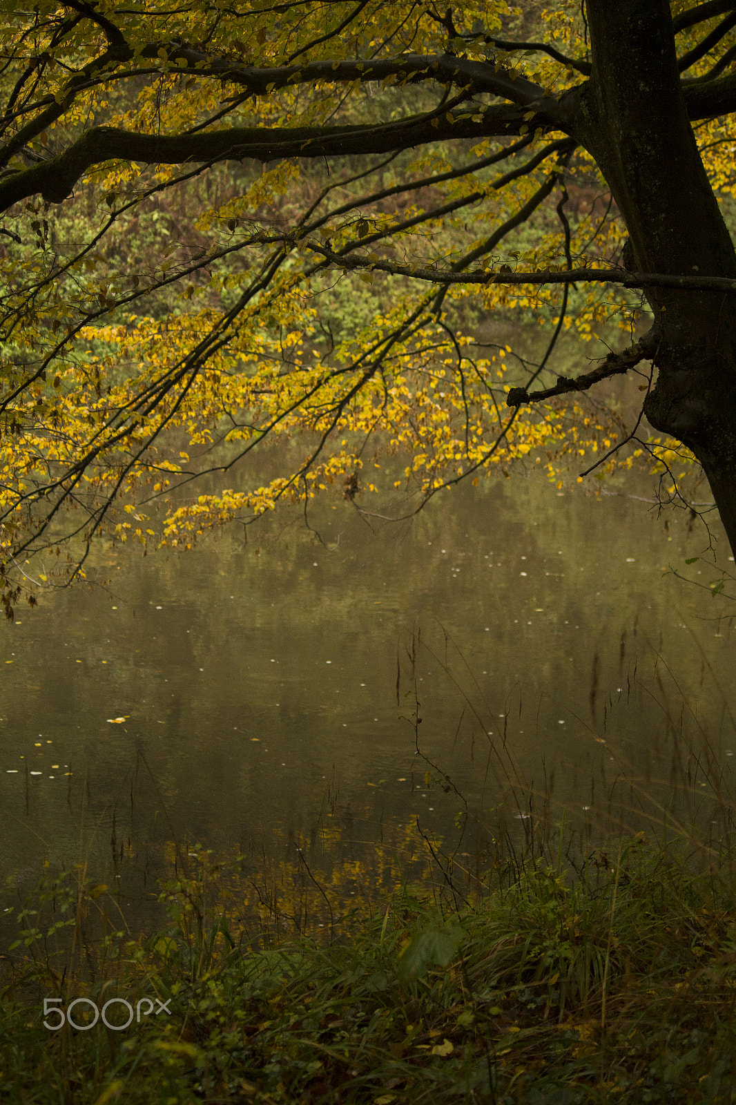 Canon EF-S 55-250mm F4-5.6 IS sample photo. Shadows in autumn photography