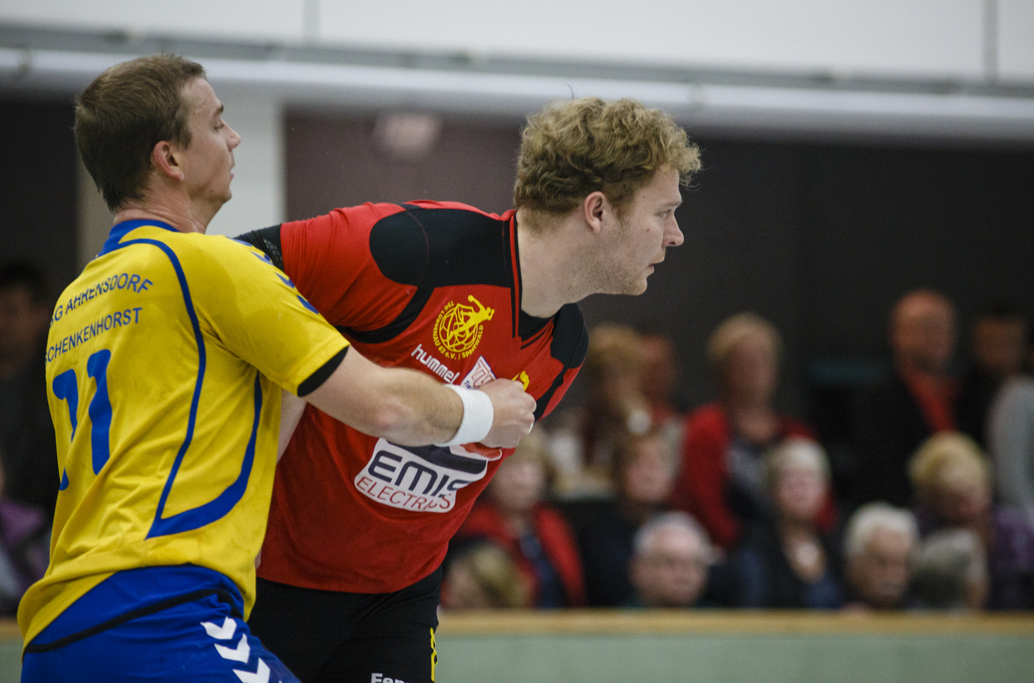 Canon EOS 6D + Canon EF 300mm F4L IS USM sample photo. Handball #38 photography