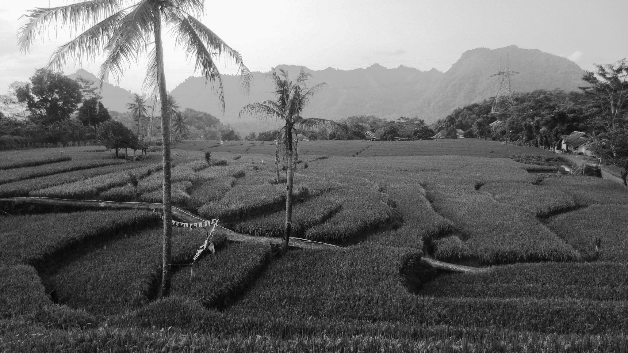 Canon PowerShot ELPH 300 HS (IXUS 220 HS / IXY 410F) sample photo
