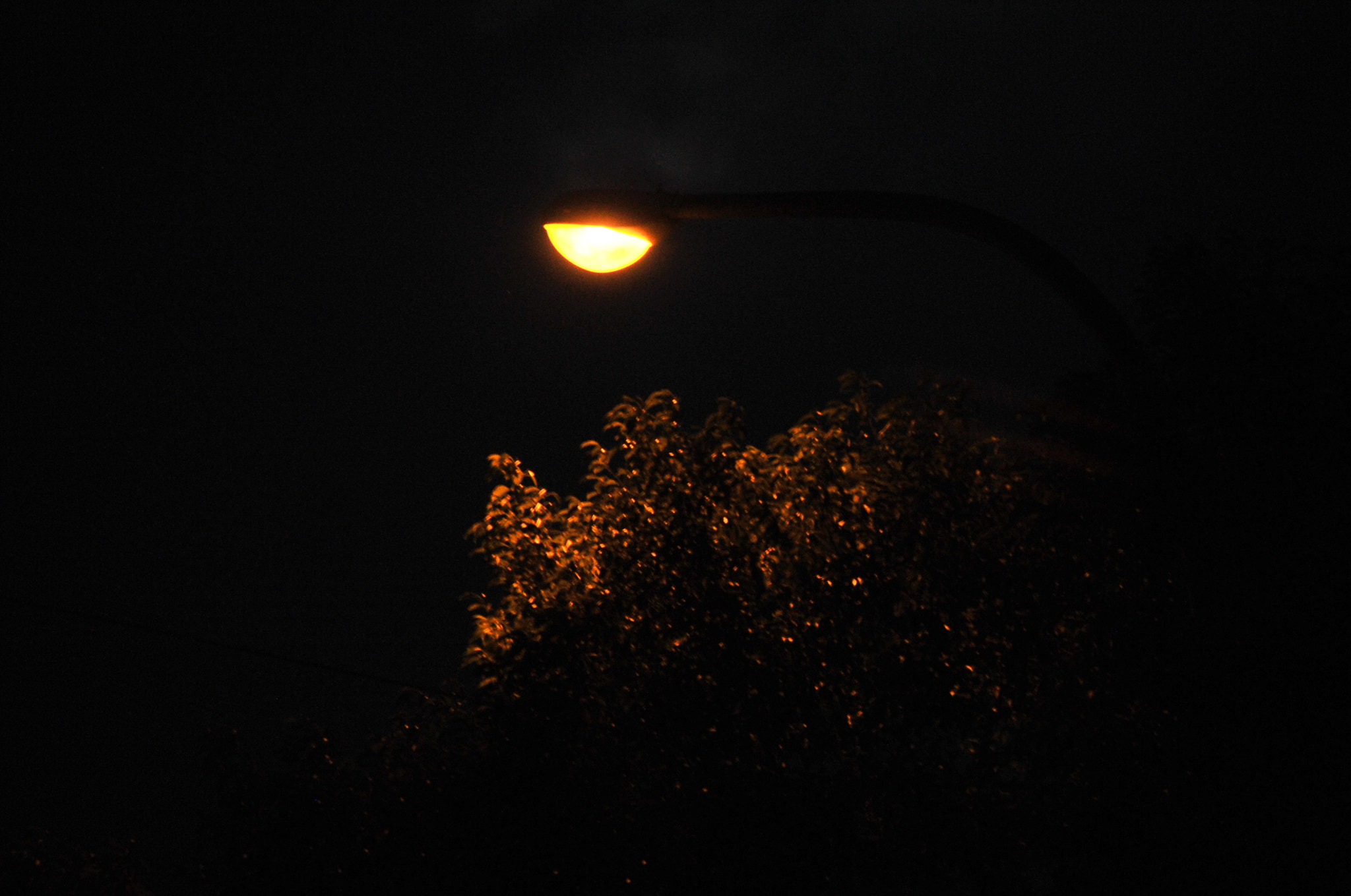 Nikon D3S sample photo. .. photography