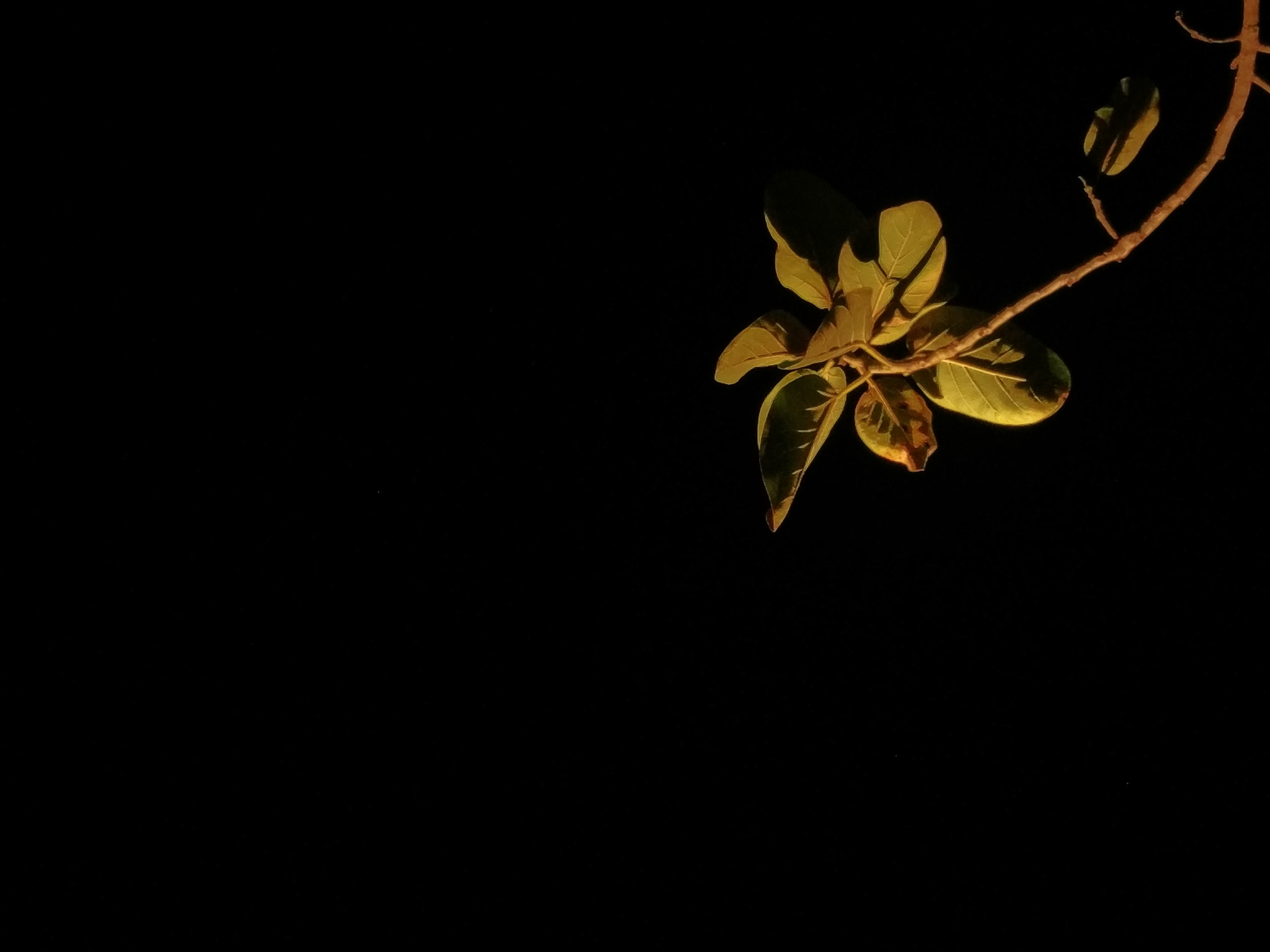 HTC M10 sample photo. Life in darkness photography