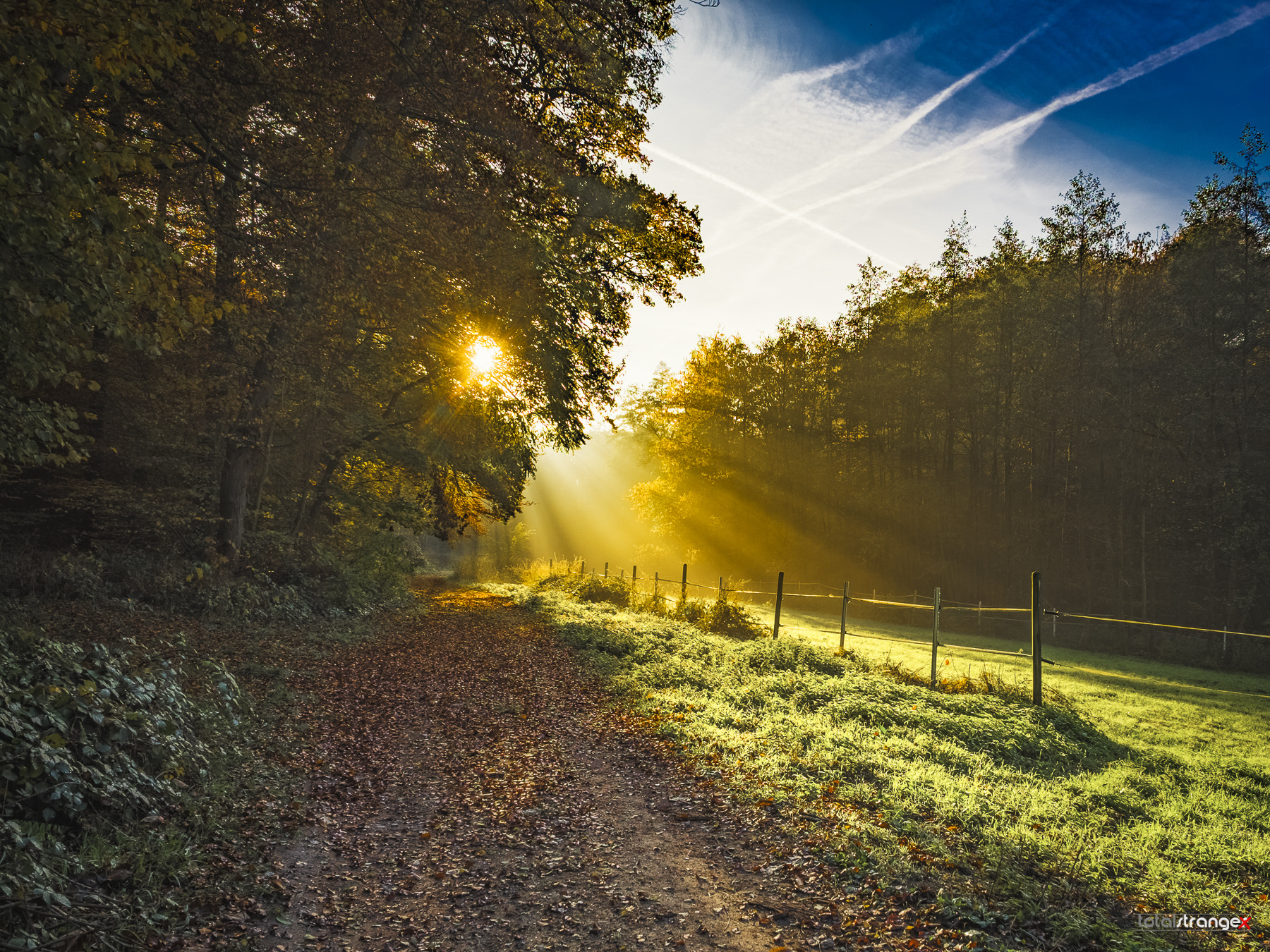 Fujifilm X-T10 + Fujifilm XF 14mm F2.8 R sample photo. Autumn sunrise photography