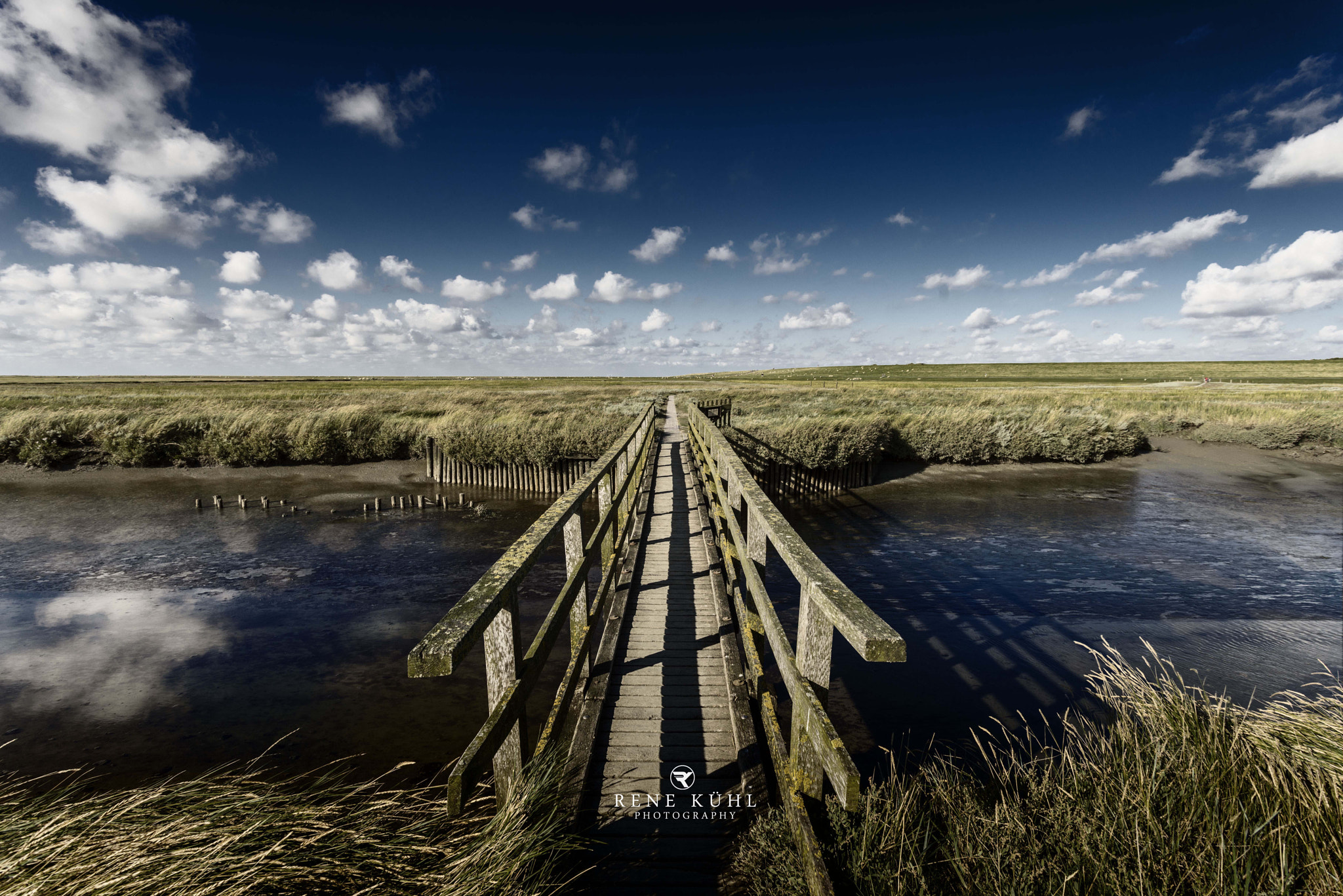 Sony a7R + Canon EF 17-40mm F4L USM sample photo. Westerhever weg photography