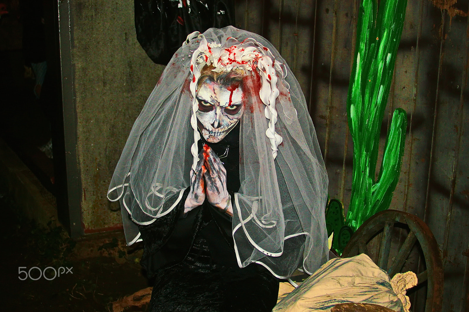 Canon EF 28-135mm F3.5-5.6 IS USM sample photo. Happy halloween 2 photography