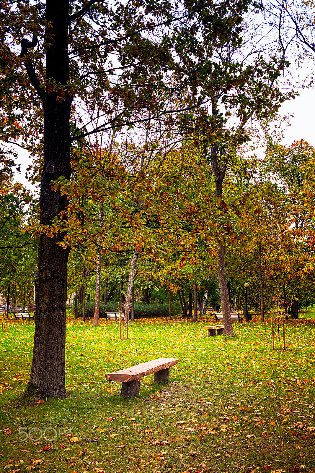 Canon EOS 50D + Canon EF-S 24mm F2.8 STM sample photo. Wooden bench at the kadriorg park photography