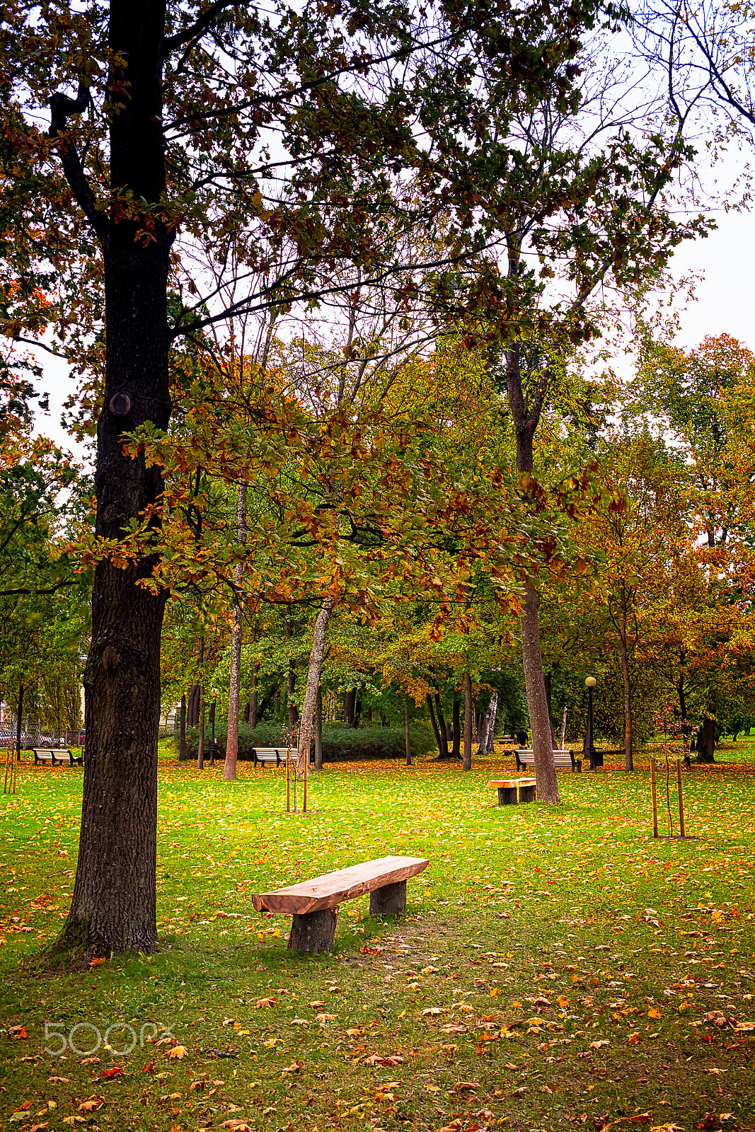 Canon EF-S 24mm F2.8 STM sample photo. Wooden bench at the kadriorg park photography