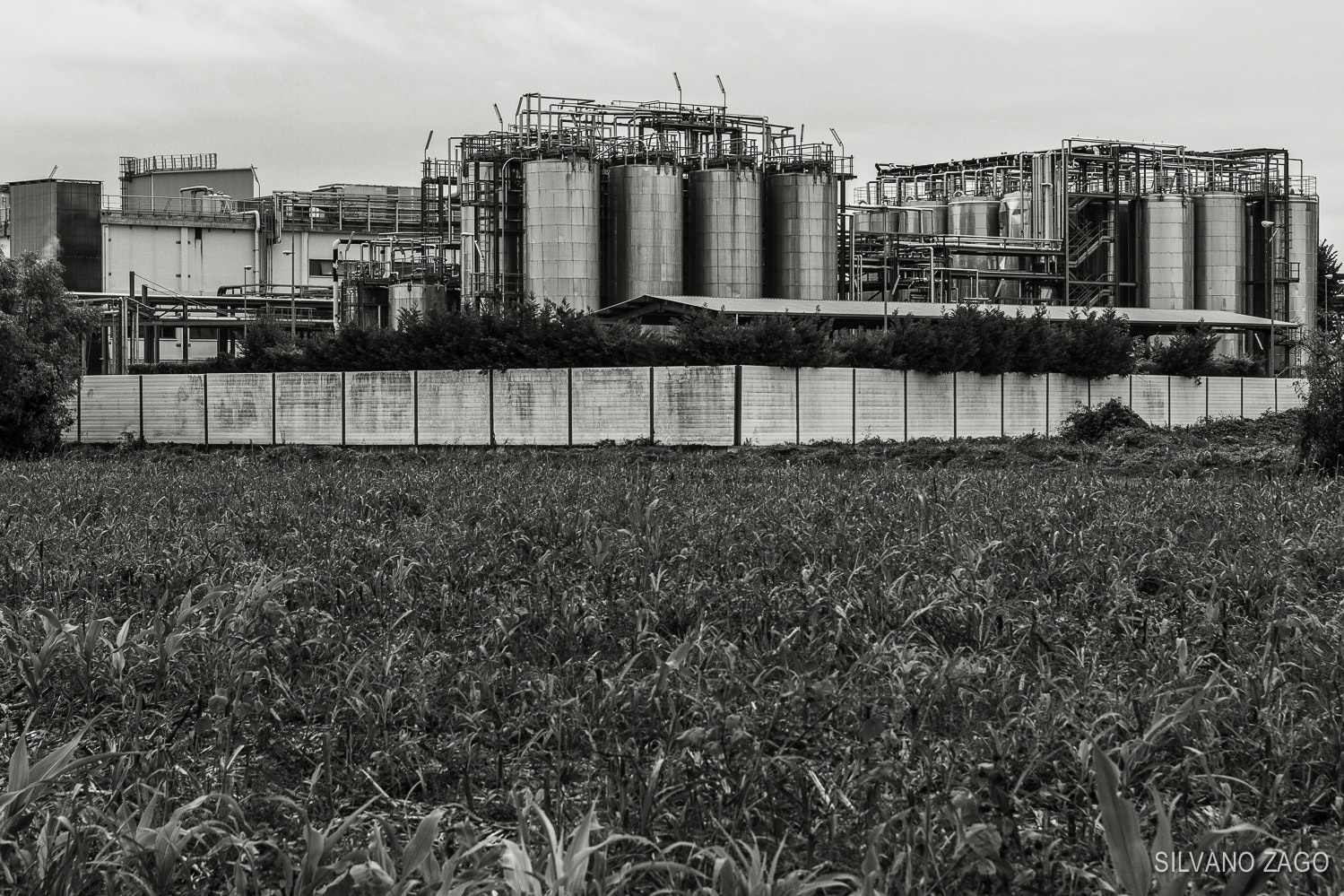 EF28-70mm f/2.8L USM sample photo. Stabilimento cermill a castelmassa (ro) photography