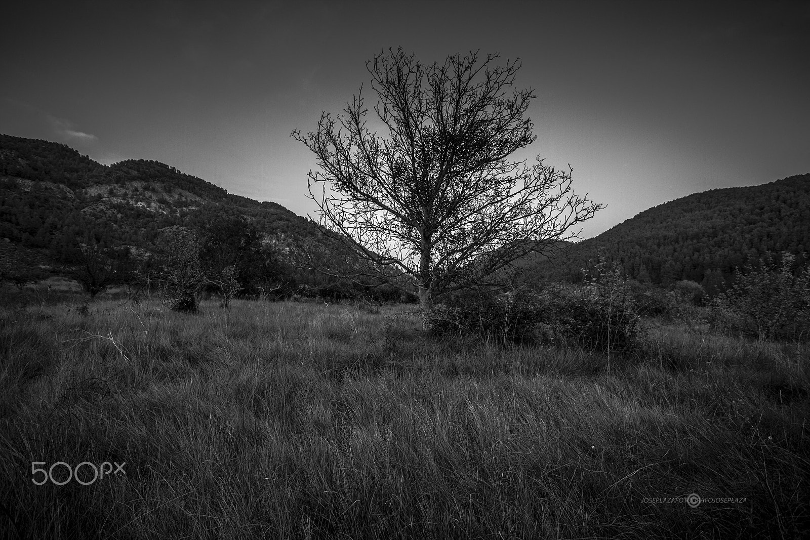 Canon EOS-1Ds Mark II sample photo. La vega photography