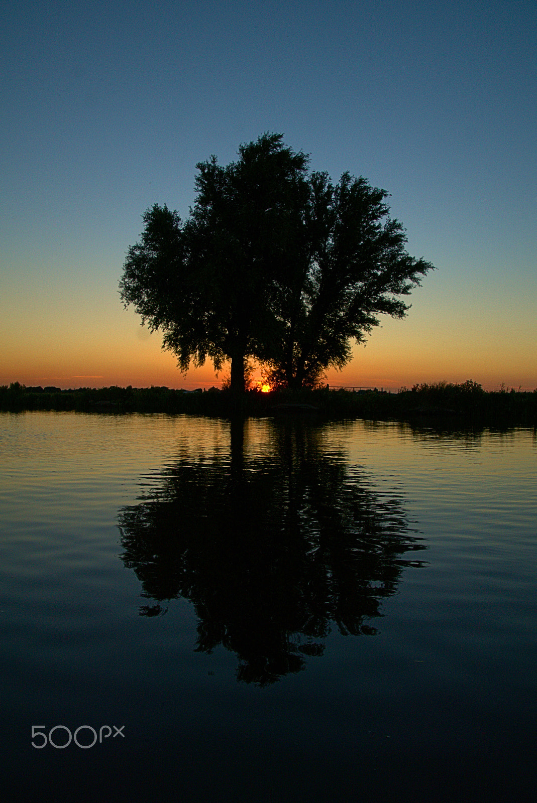 Sony ILCA-77M2 + DT 18-270mm F3.5-6.3 SSM sample photo. Spiegel photography