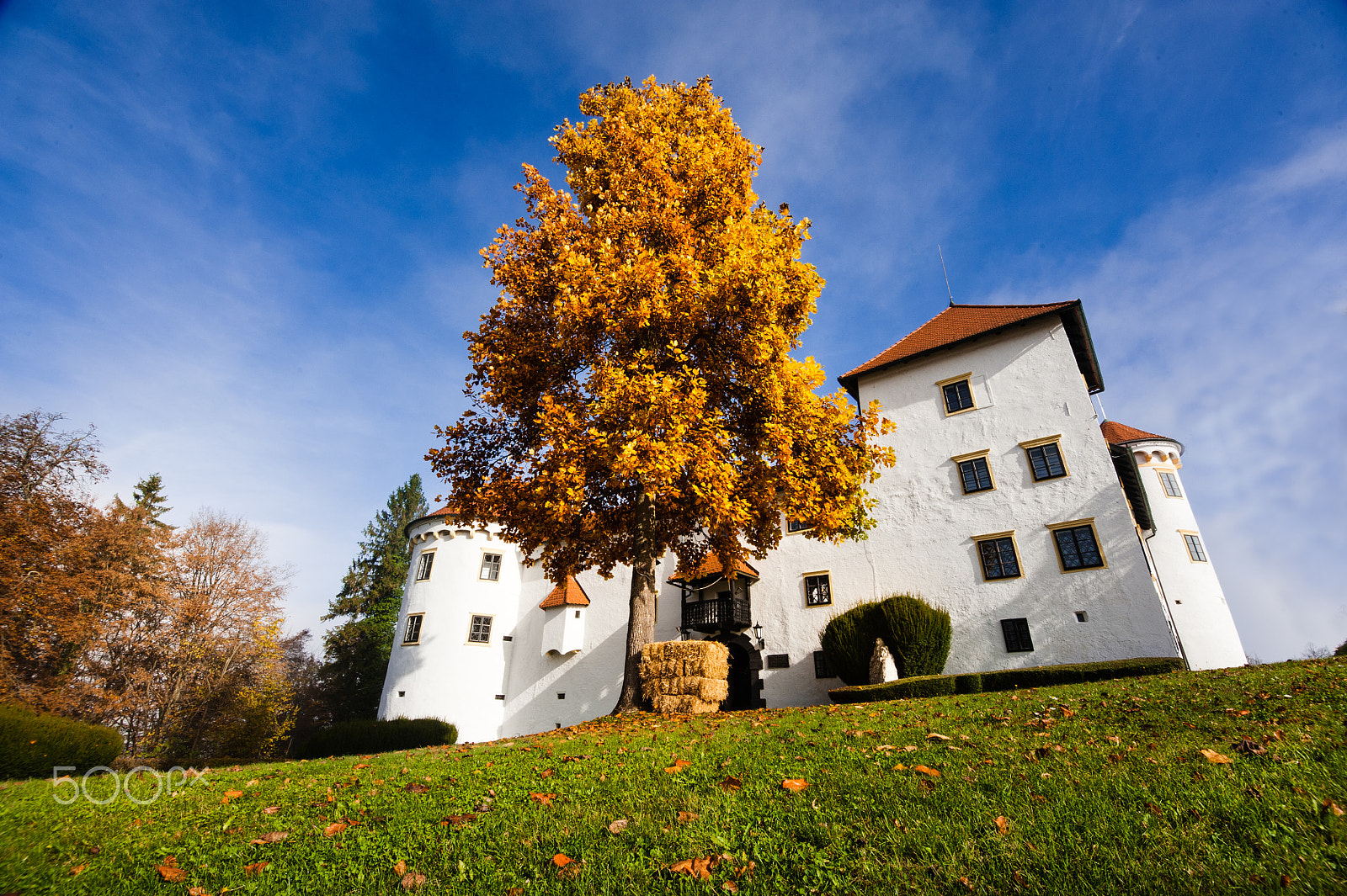 Nikon D700 + Tokina AT-X 11-20 F2.8 PRO DX (AF 11-20mm f/2.8) sample photo. Autumn at the castle photography