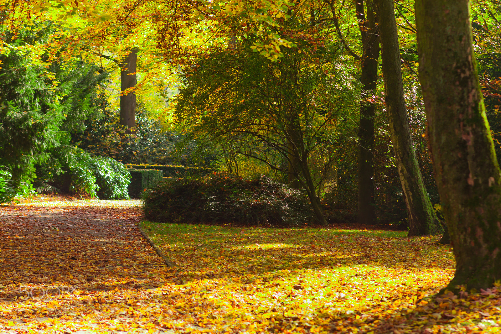 Canon EOS 5D Mark II + Canon EF 135mm F2.8 SF sample photo. Autumn photography