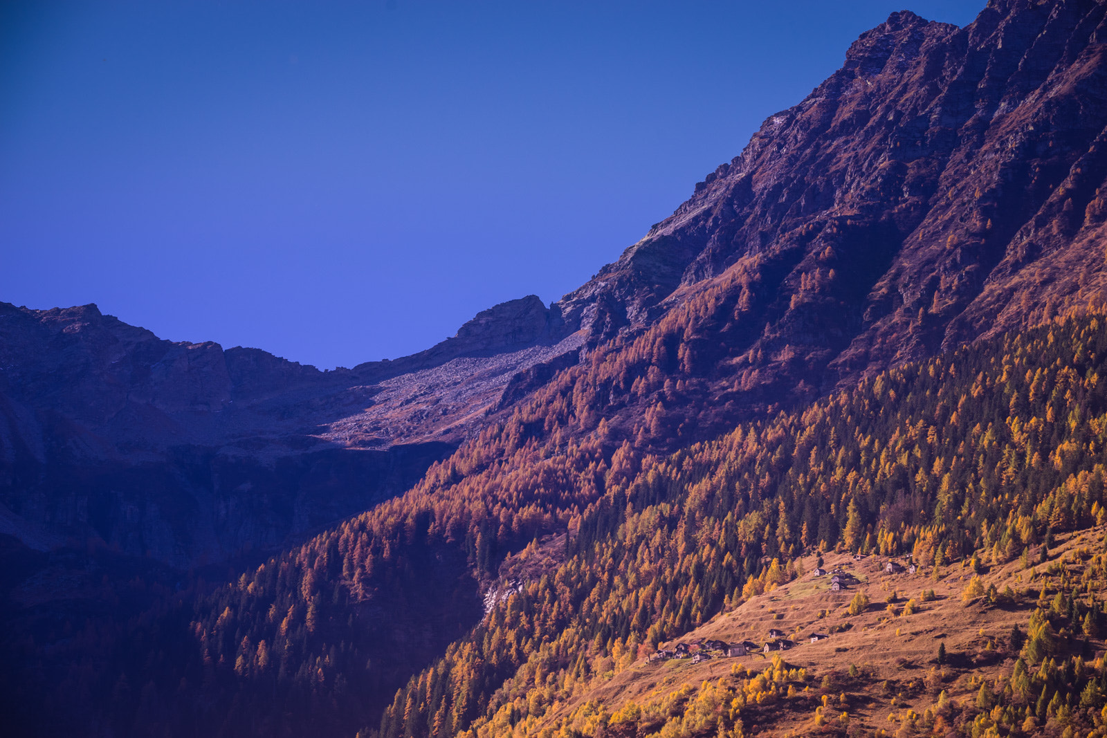 150-600mm F5-6.3 DG OS HSM | Contemporary 015 sample photo. Autumnal slopes photography