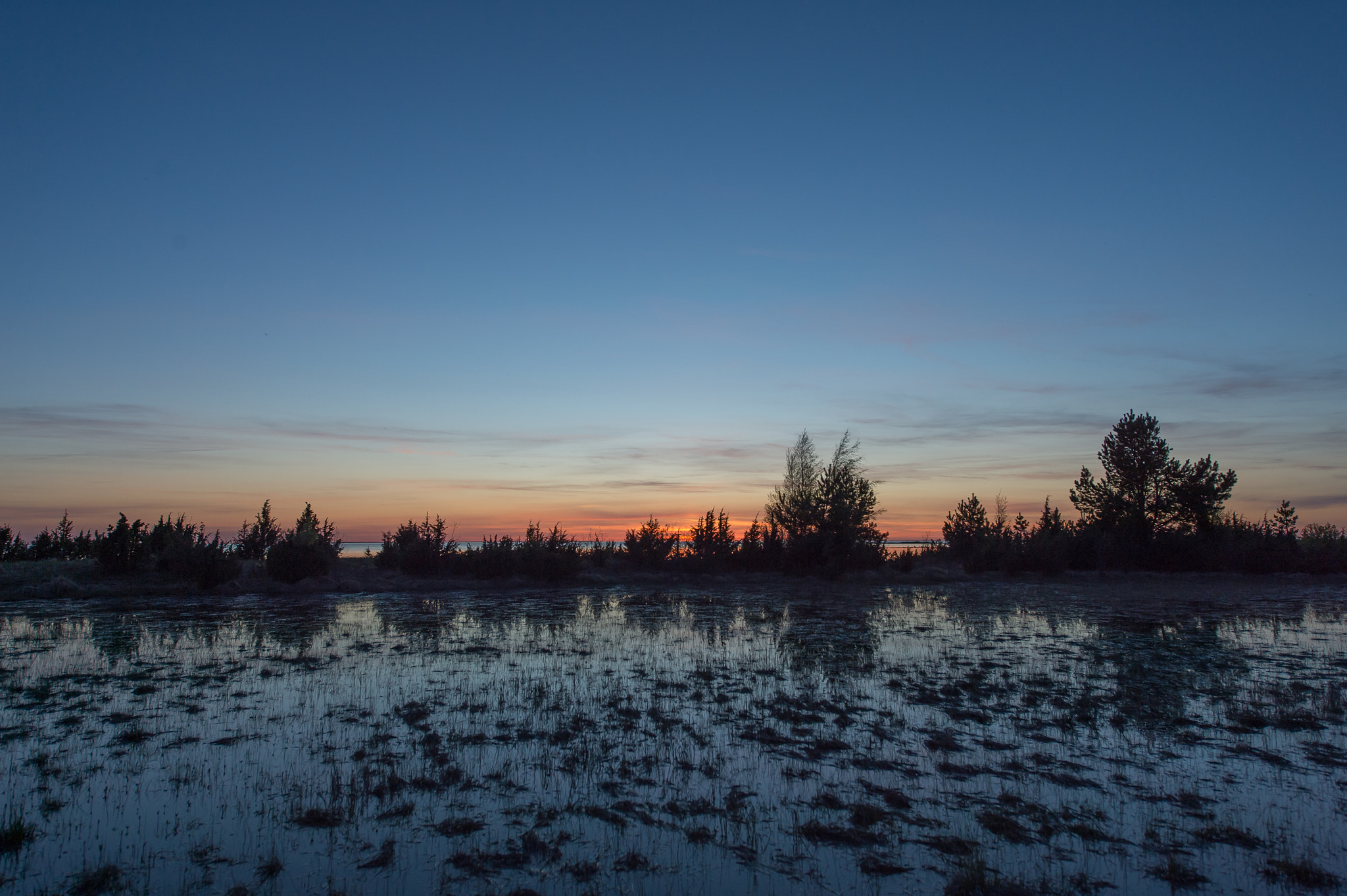 Nikon Df sample photo. The shadows photography