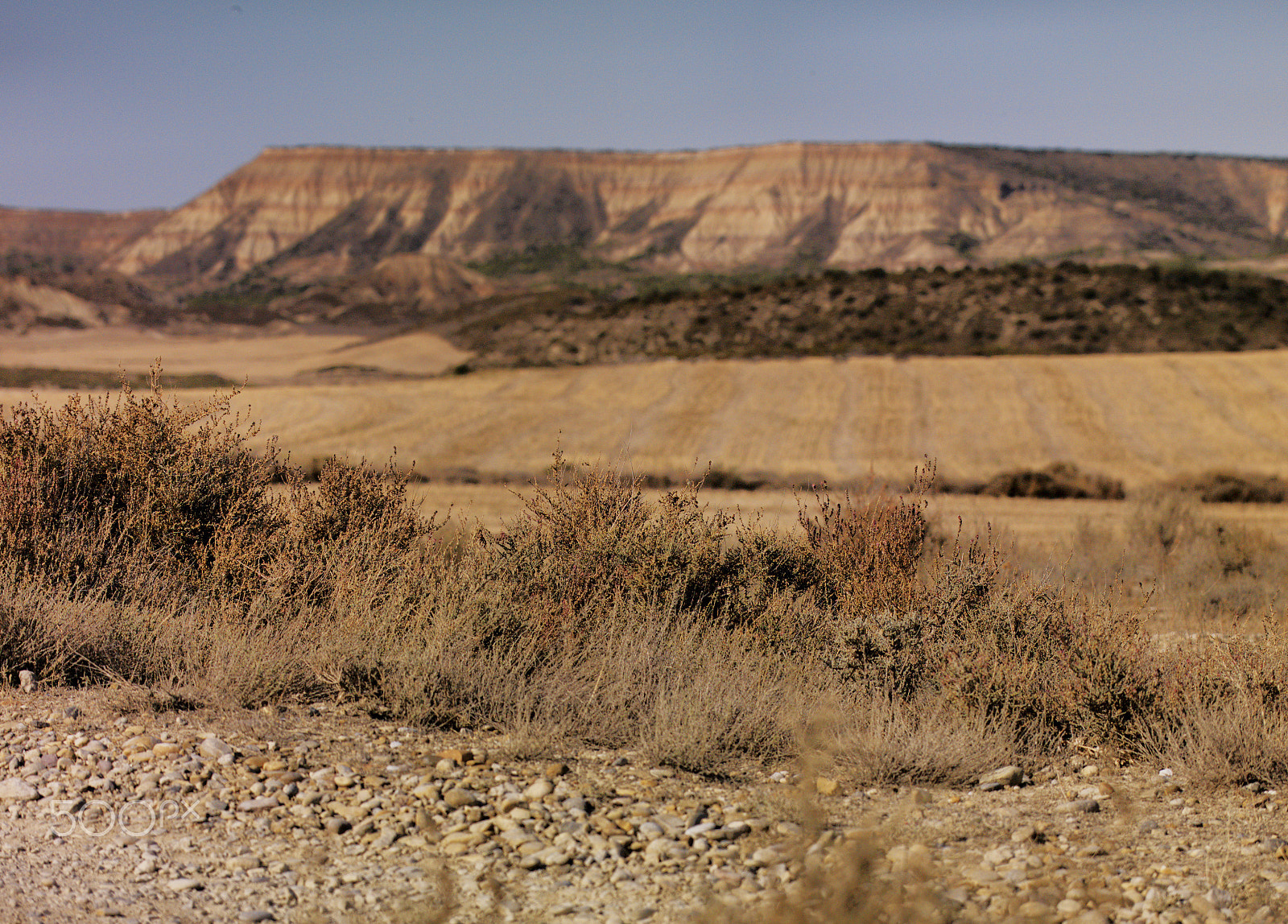 Hasselblad CF-39 sample photo. Bardenas reales photography