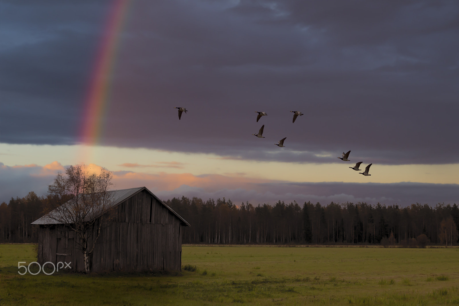 Canon EOS 6D + EF28-70mm f/2.8L USM sample photo. Sateenkaari, rainbow photography