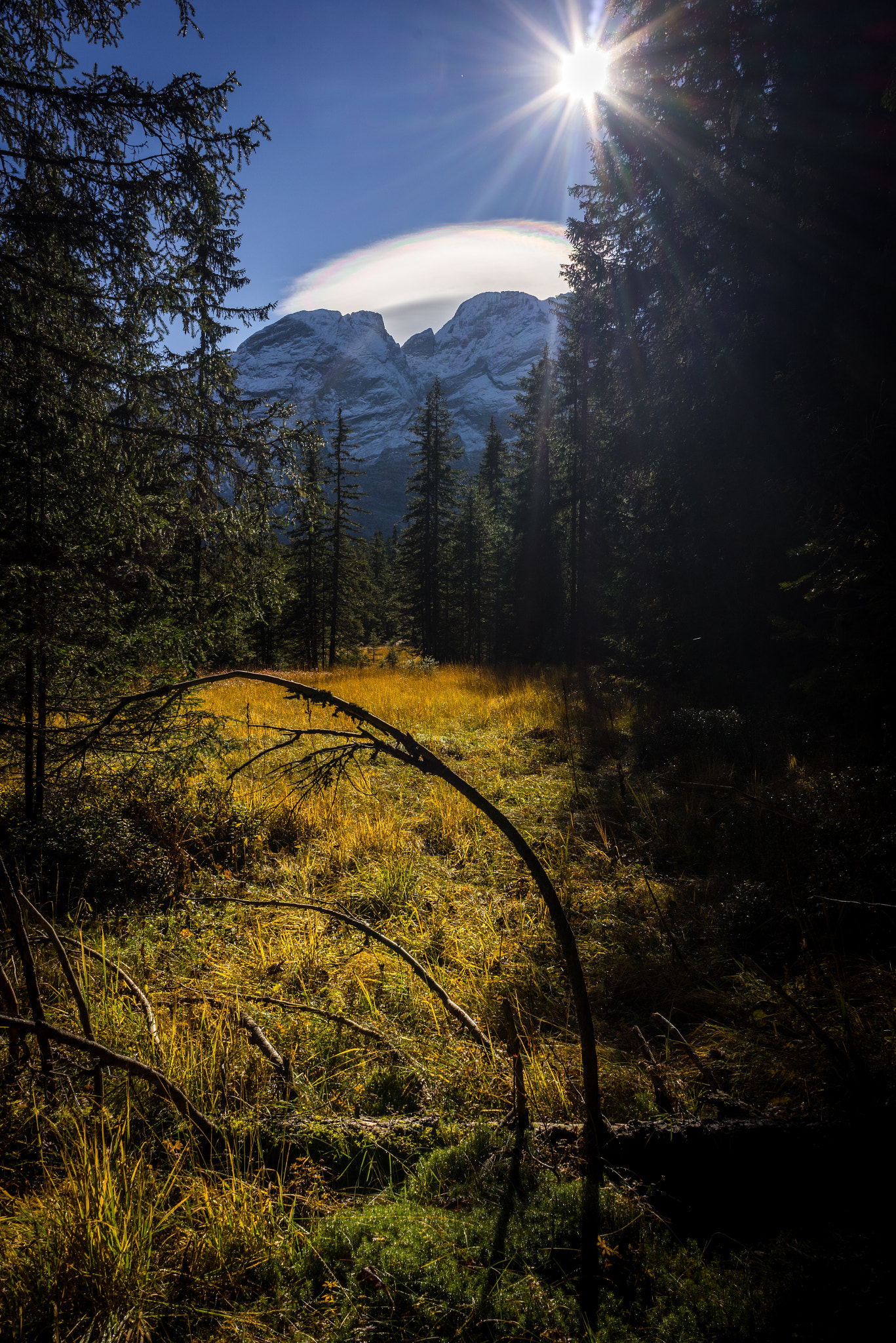 Sony a7R + Sony FE 28mm F2 sample photo. Autumn light photography