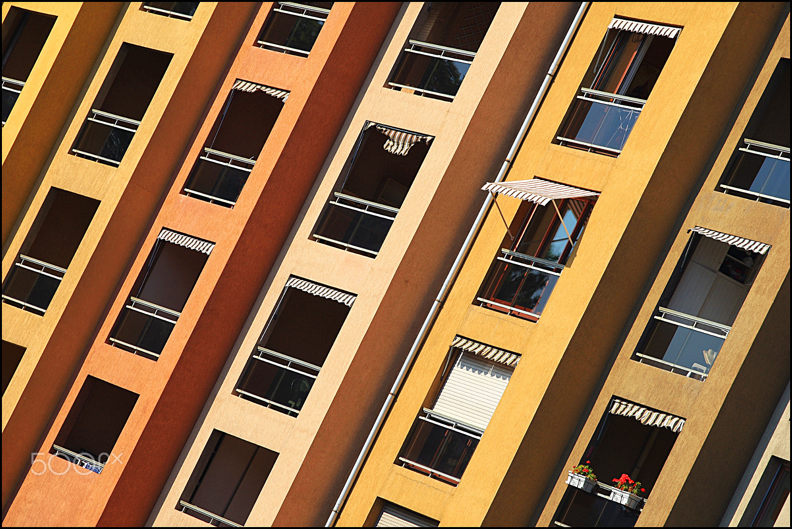 Canon EOS-1D Mark III sample photo. Swatch photography