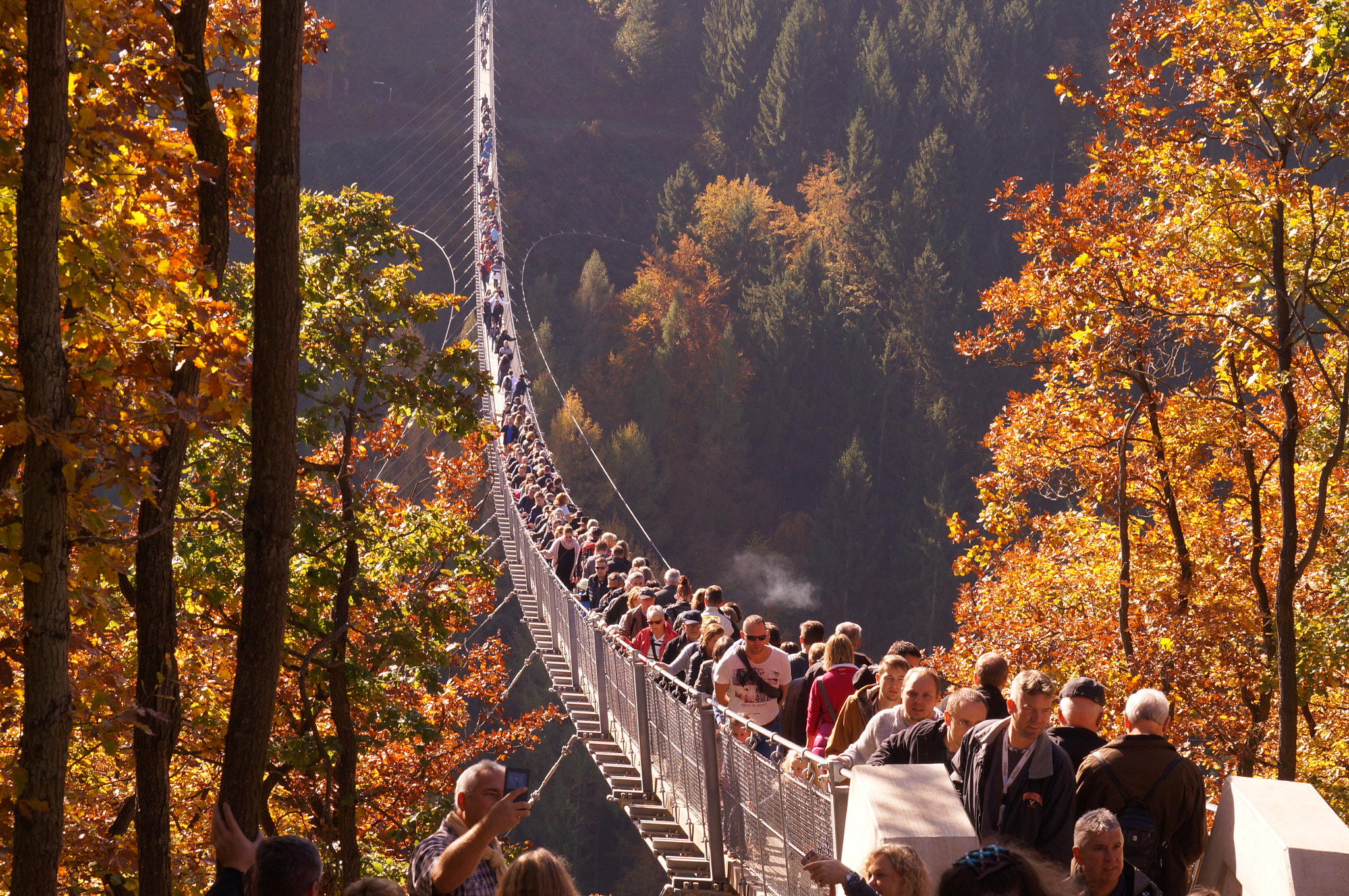 Sony SLT-A37 sample photo. Hanging bridge photography