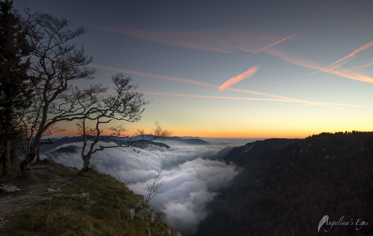 16-35mm F4 G SSM OSS sample photo. Fog dance photography