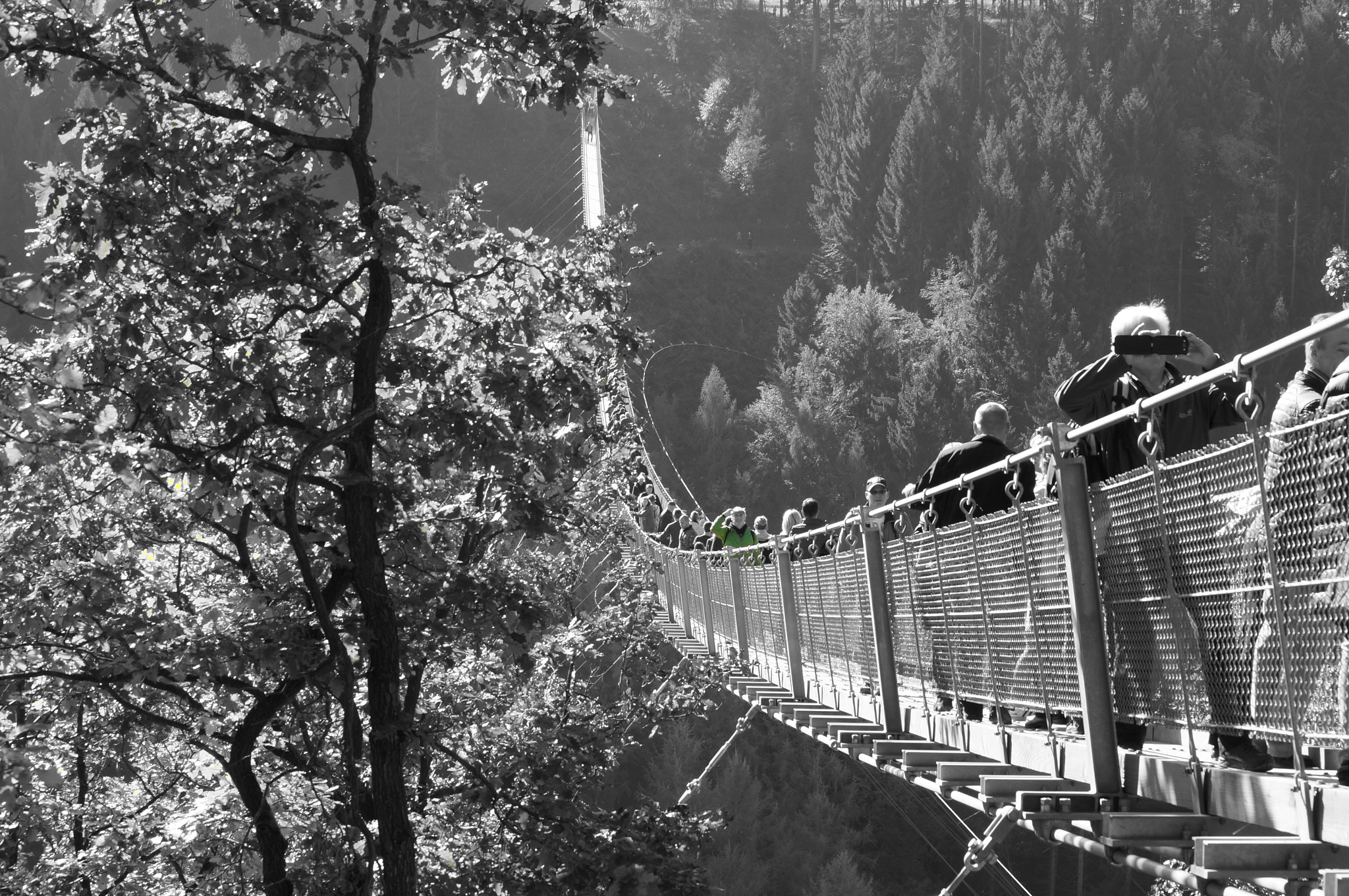 Sony SLT-A37 sample photo. Bridge photography