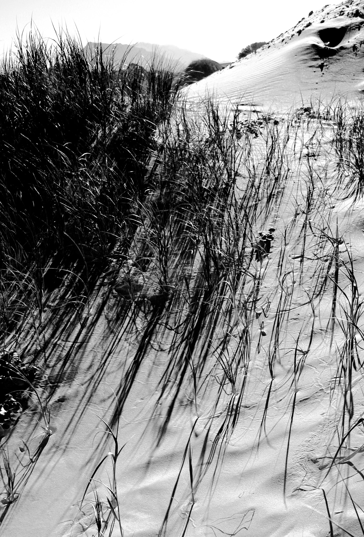 Sigma 18-125mm F3.8-5.6 DC OS HSM sample photo. Dunes, south africa photography