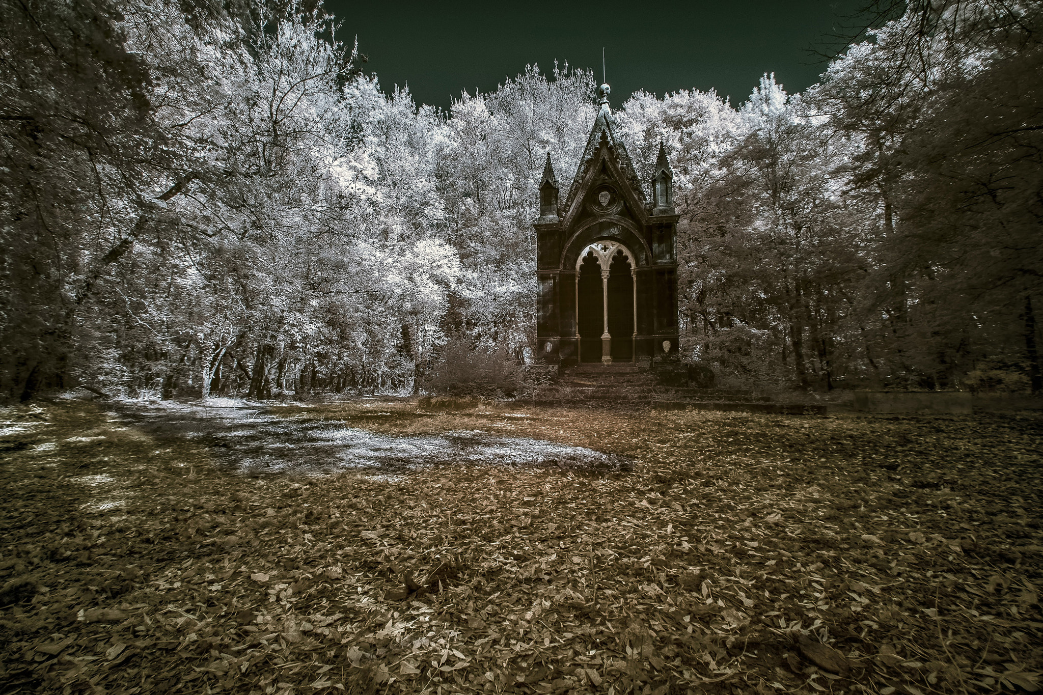 Pentax K-1 sample photo. The grave in the forest photography