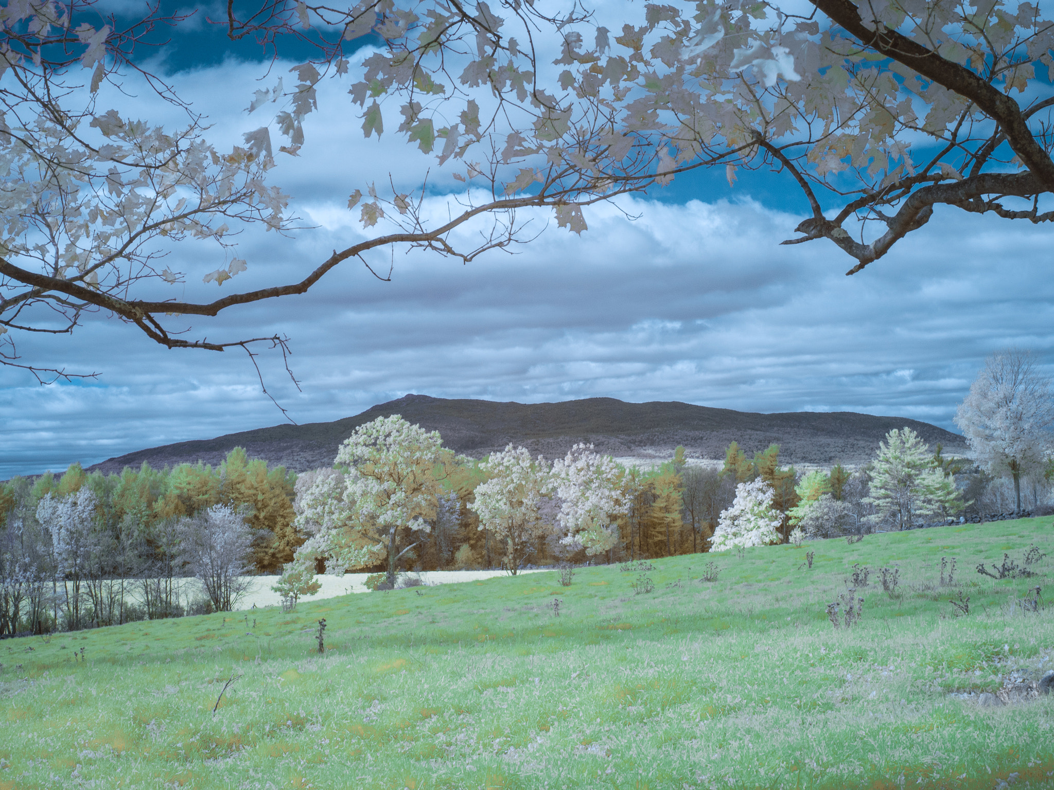 Olympus PEN E-P5 sample photo. Mount monadnock in pastels photography