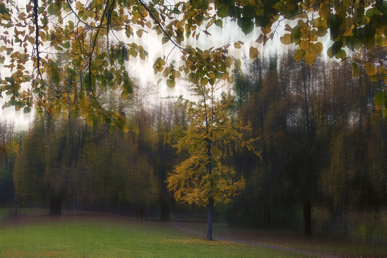 Sigma 18-200mm f/3.5-6.3 DC OS sample photo. Autumncolours photography