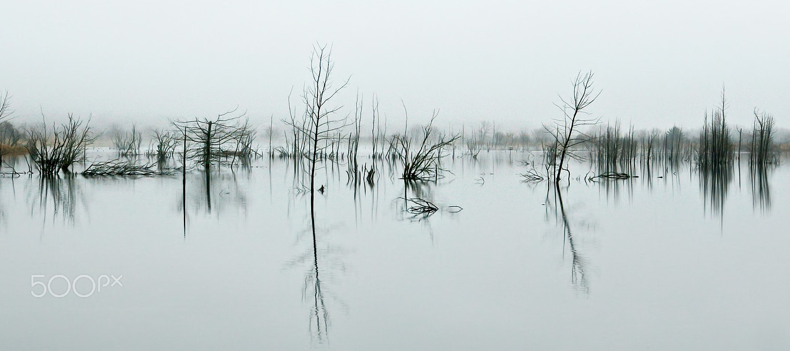 Pentax *ist DL2 sample photo. Marsh #8 photography