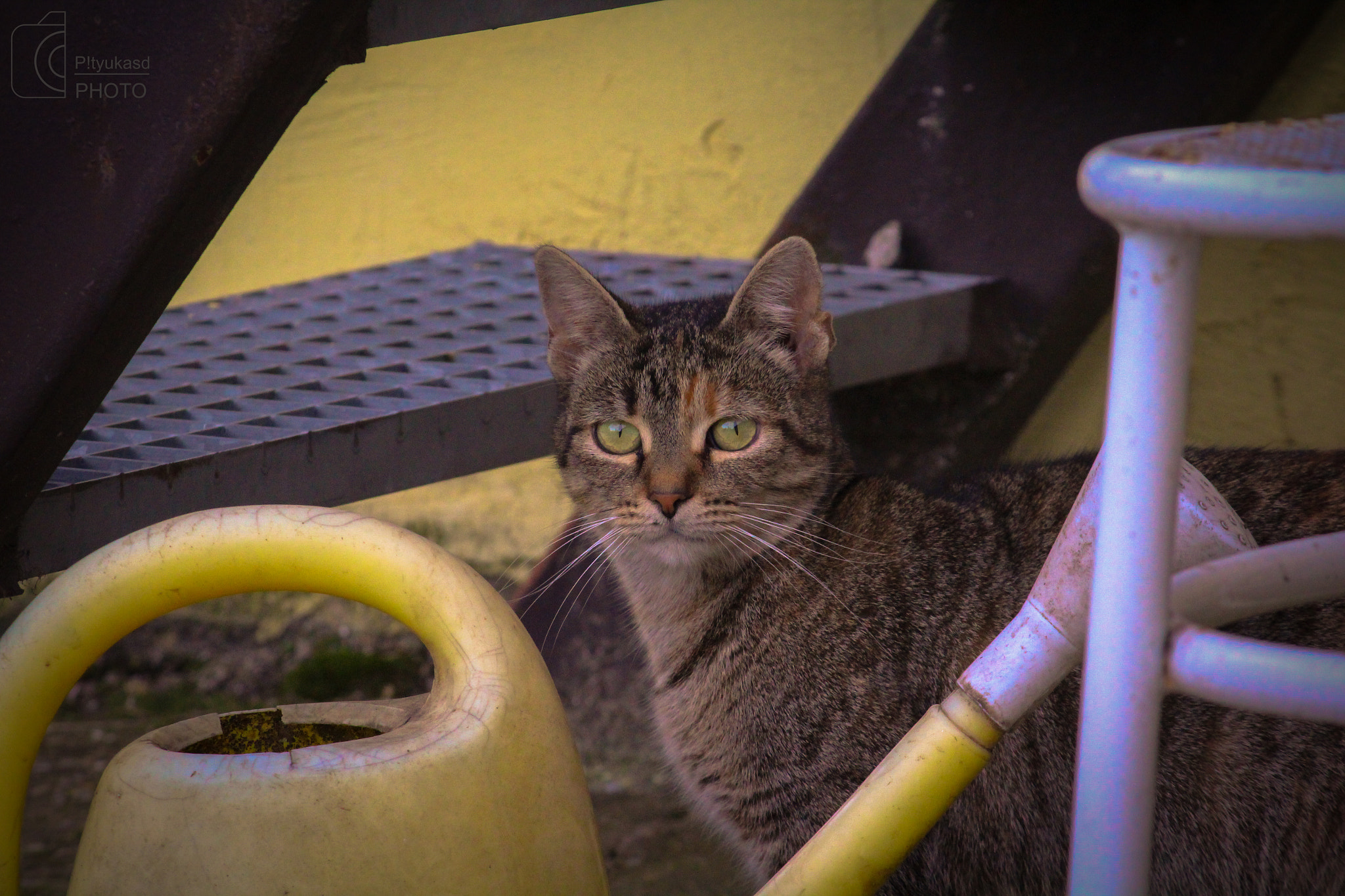 Canon EF-S 55-250mm F4-5.6 IS sample photo. Water the plants (: photography