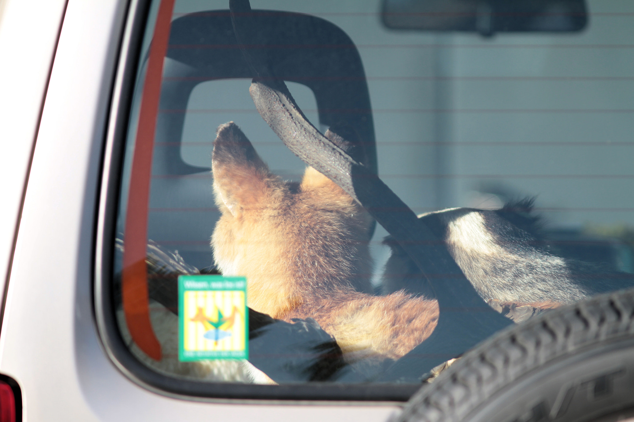 Canon EOS 7D + Canon EF 300mm F4L IS USM sample photo. Passengers photography