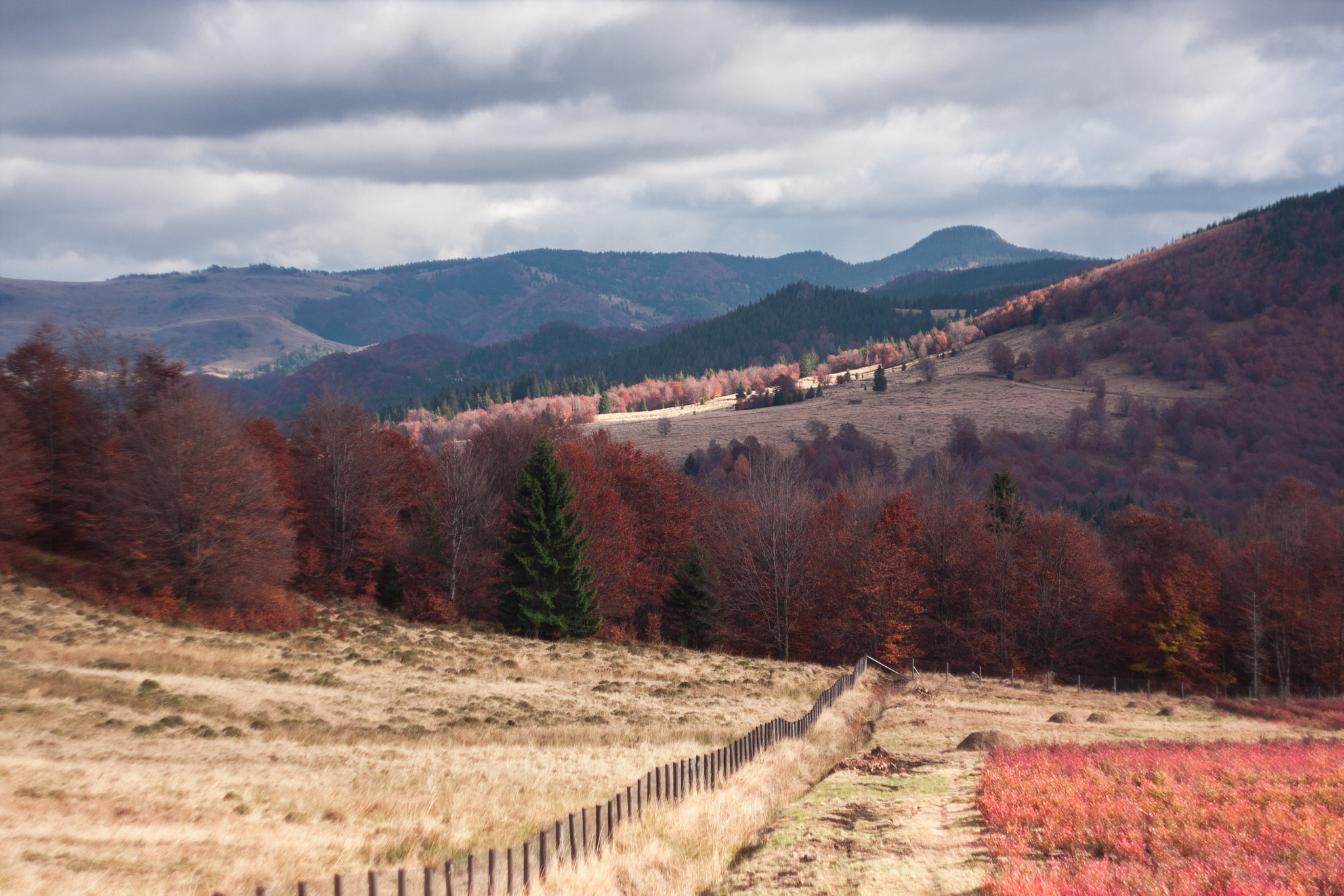 Canon EF 35-80mm f/4-5.6 sample photo. The metamorphoses of nature photography