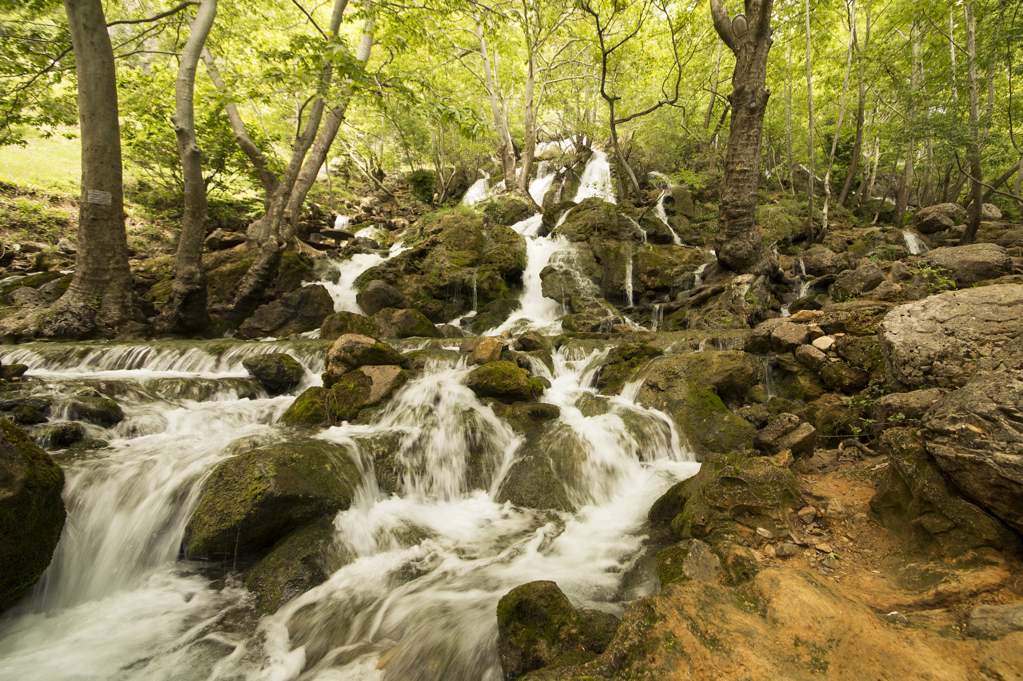 Sigma 12-24mm F4.5-5.6 II DG HSM sample photo. Img photography