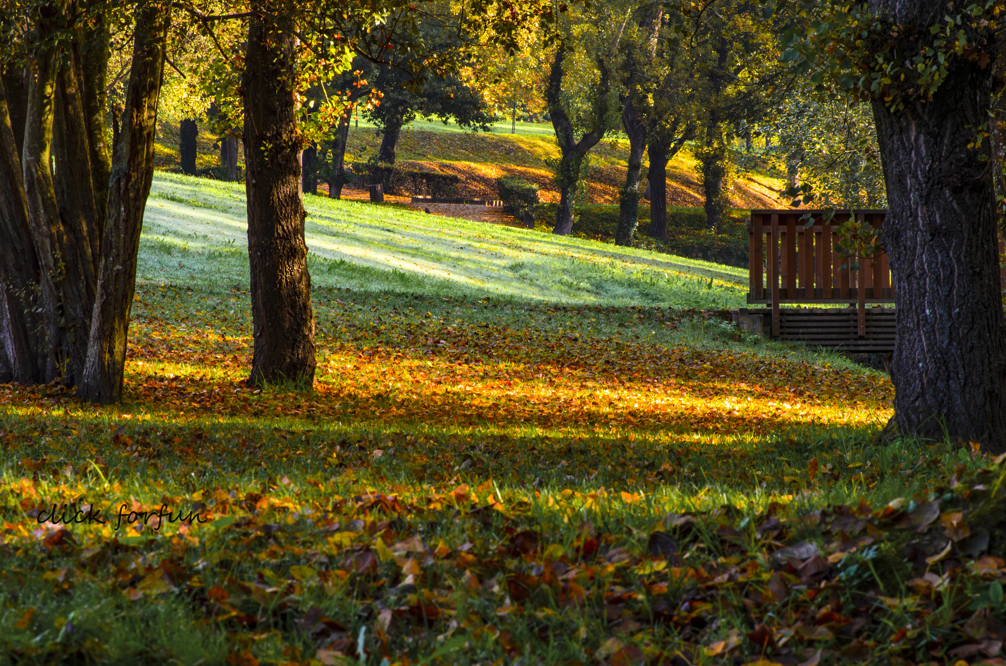 Tokina AT-X Pro 50-135mm F2.8 DX sample photo. City park photography