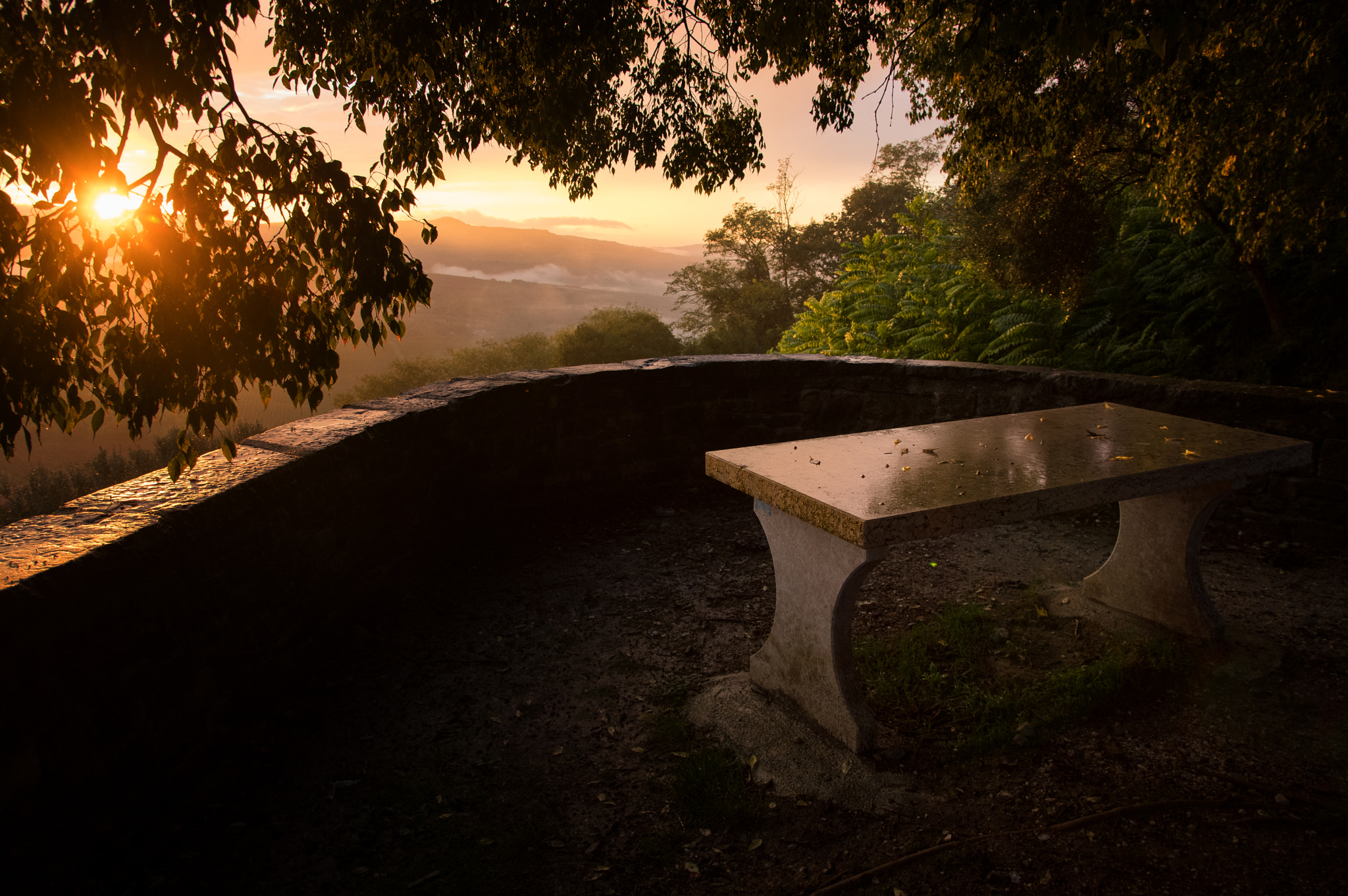 Sigma 17-50mm F2.8 EX DC HSM sample photo. Rotonda photography