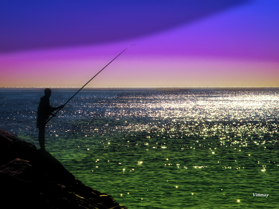 Fujifilm FinePix S2000HD sample photo. #pesca pesca pescatore a montauro (cz) photography