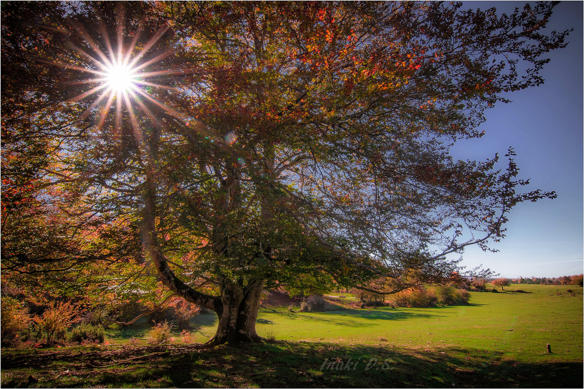Nikon D5300 + Tokina AT-X 12-28mm F4 Pro DX sample photo. Sol de otoño /autumn sun photography